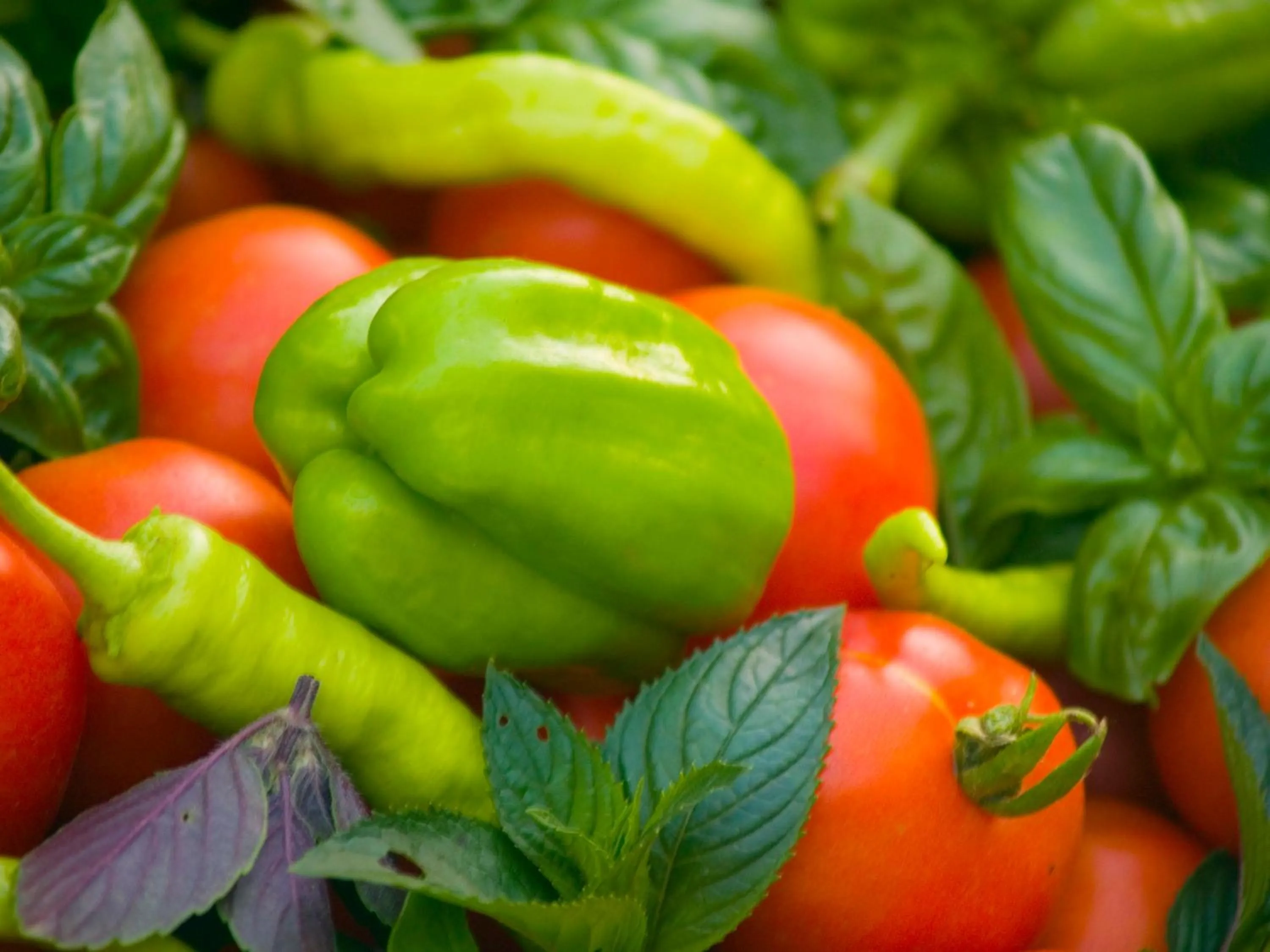 Breakfast in Gartenhotel & Weingut Pfeffel Dürnstein