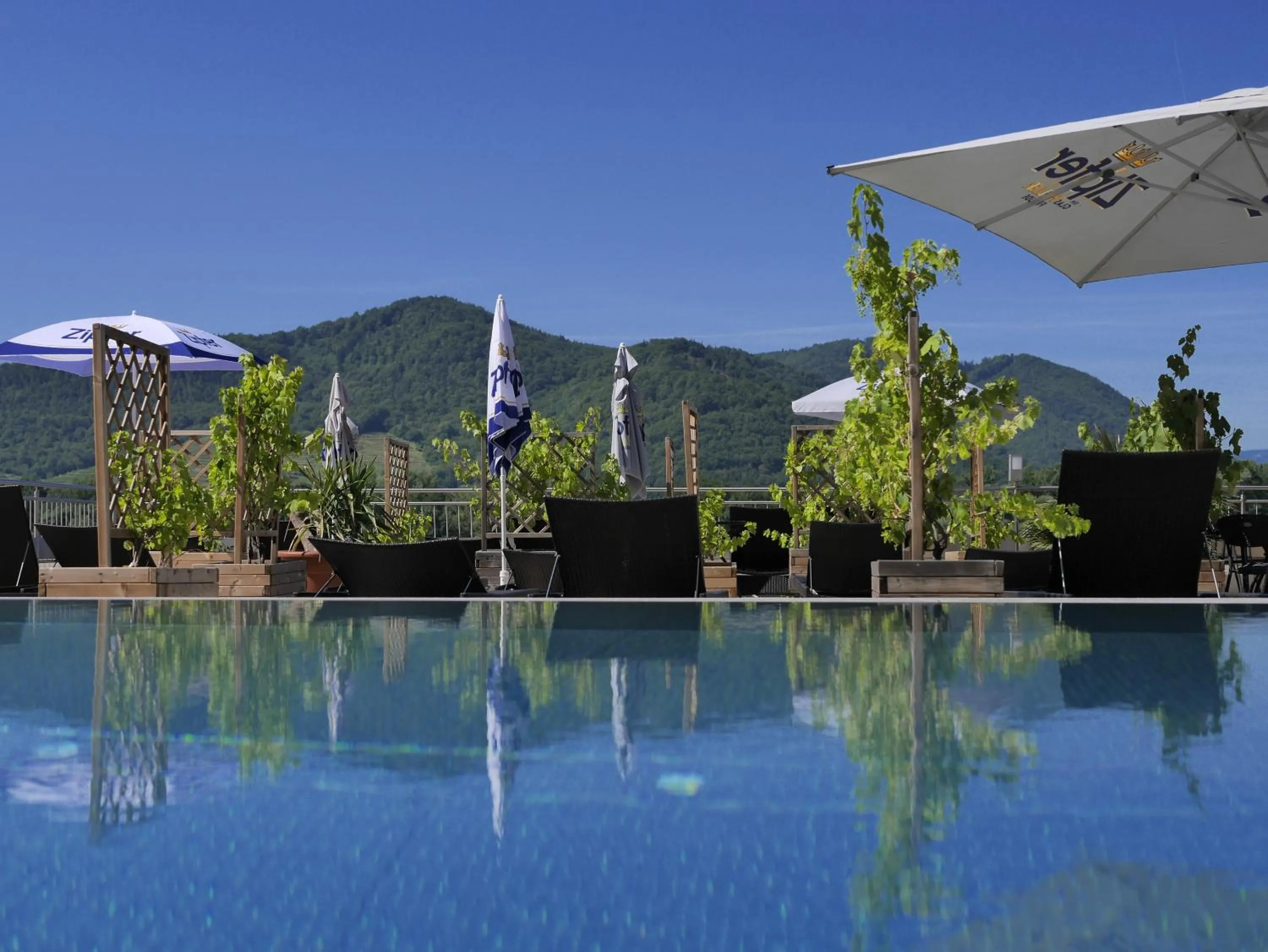 Swimming pool in Gartenhotel & Weingut Pfeffel Dürnstein