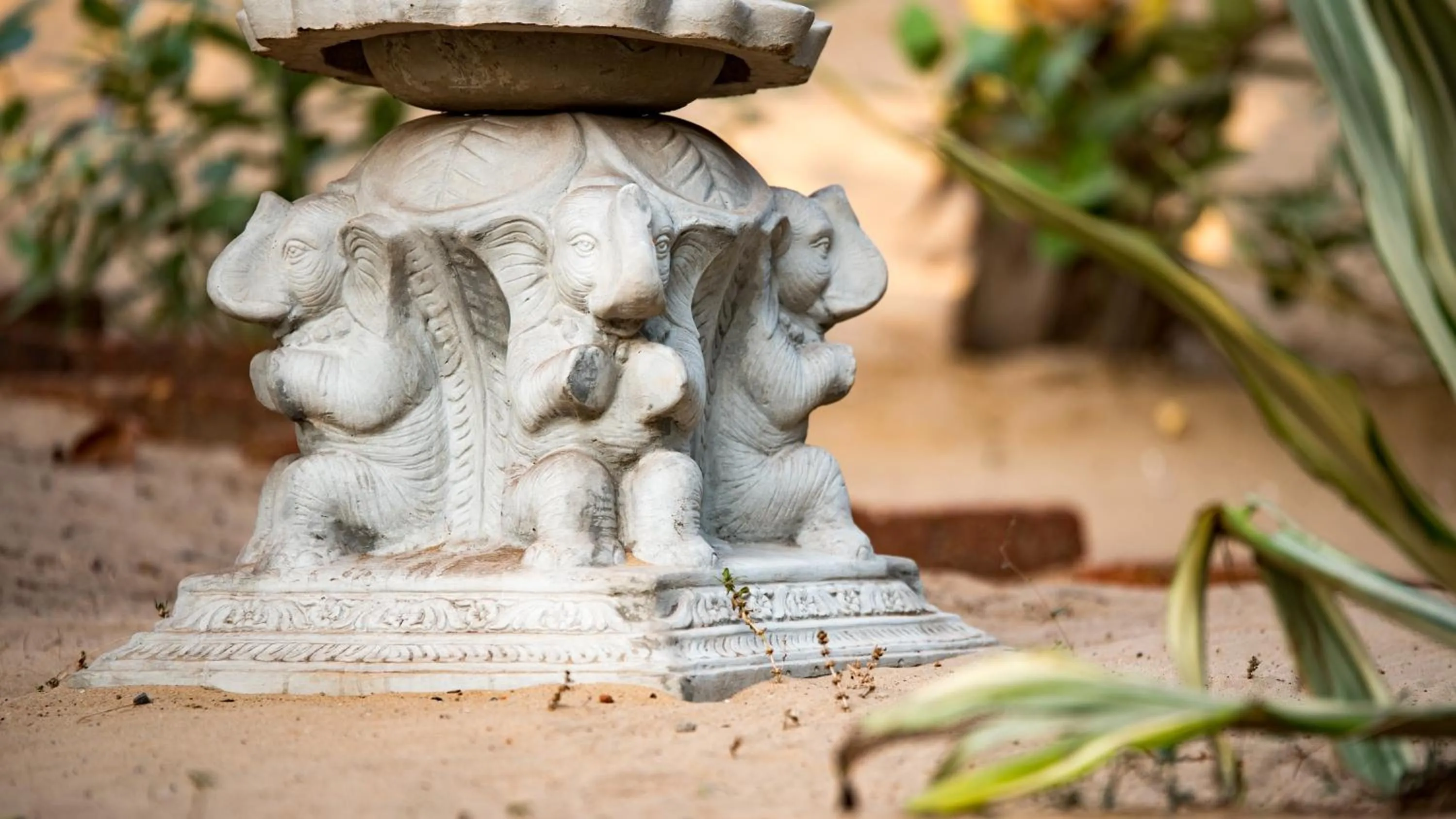 Decorative detail in Little India Beach Cottages