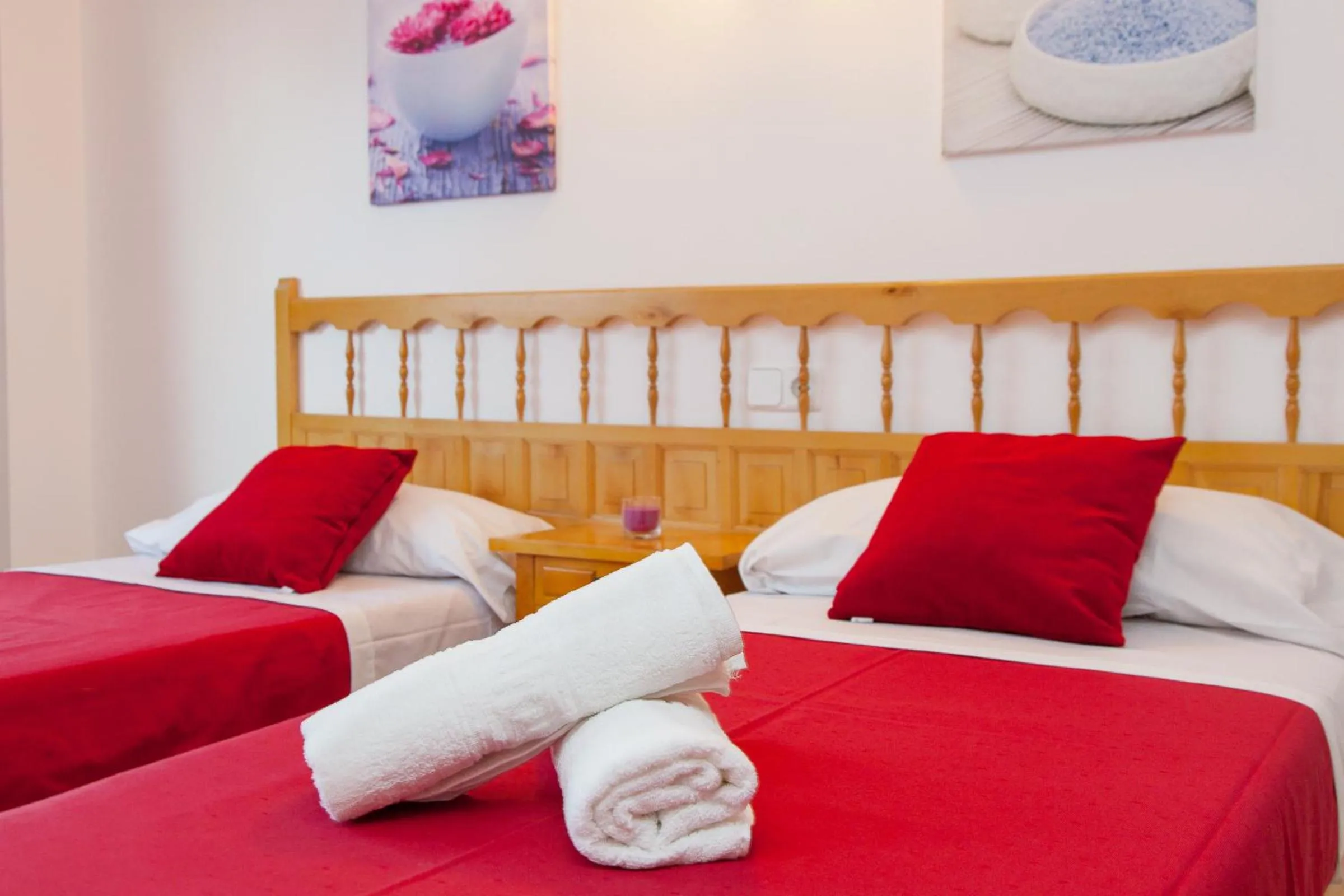 Apartamentos Puet