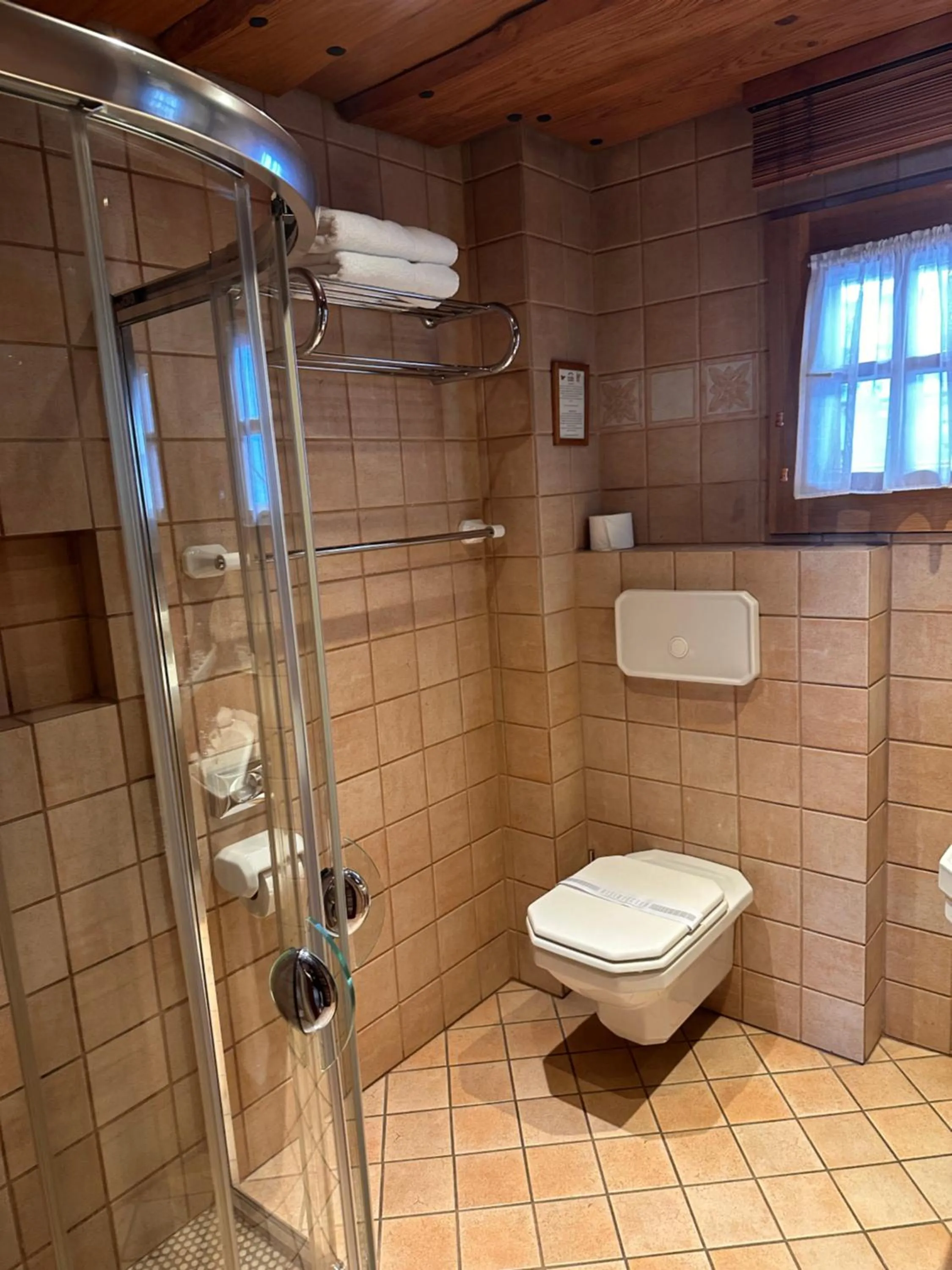 Shower in Romantik Hotel U Raka