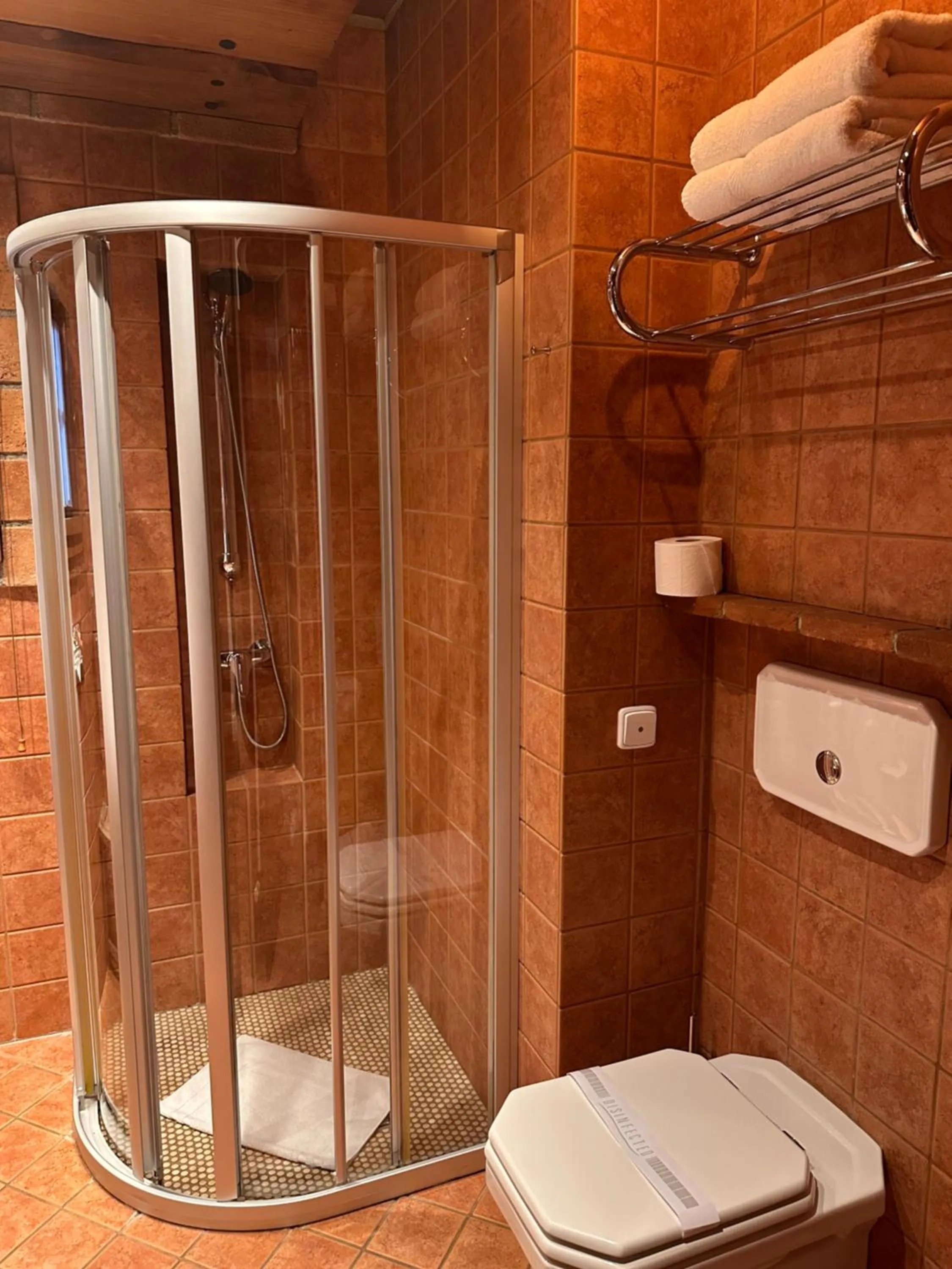 Shower in Romantik Hotel U Raka