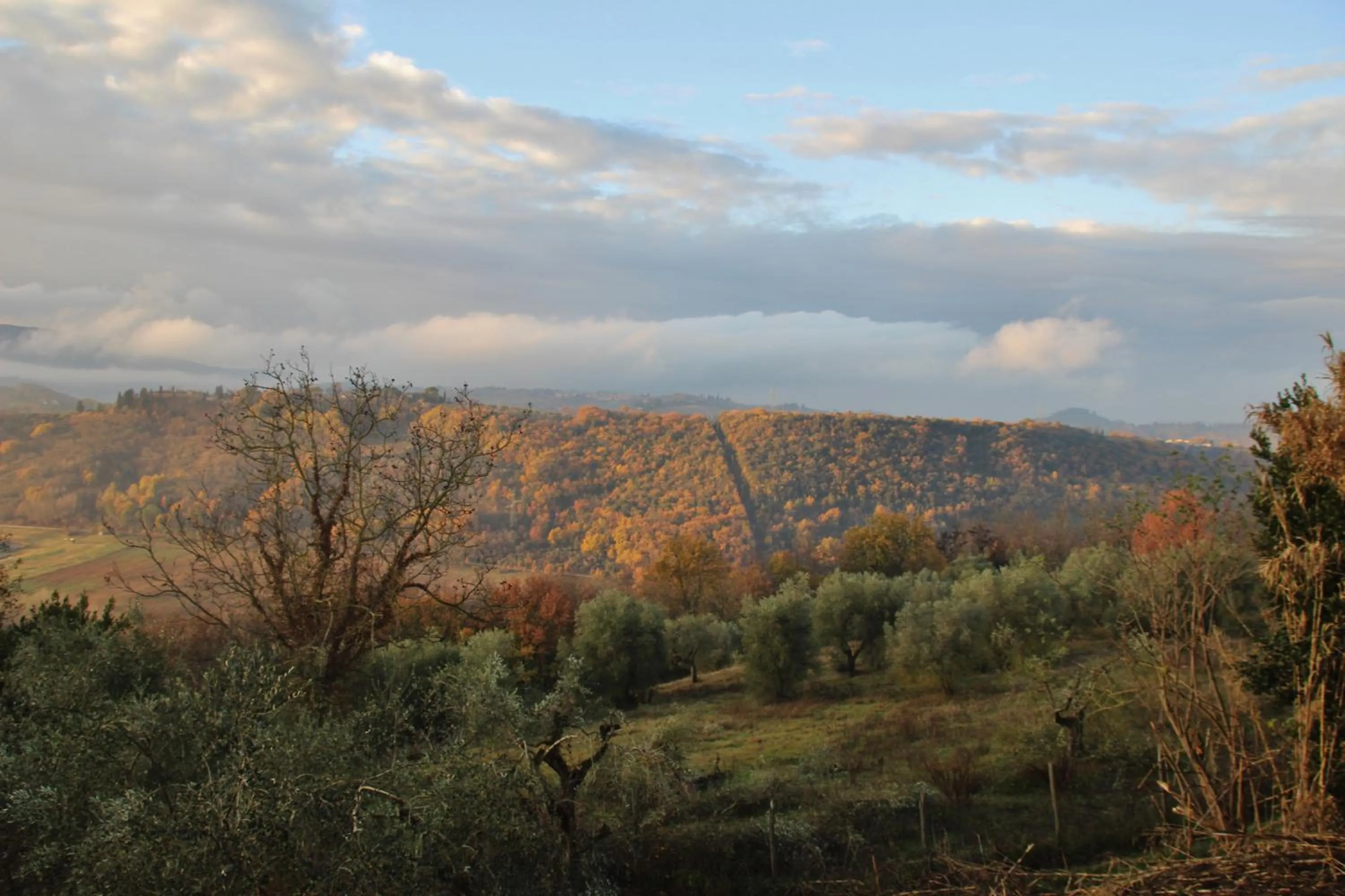 Property building in Maison del Borgo