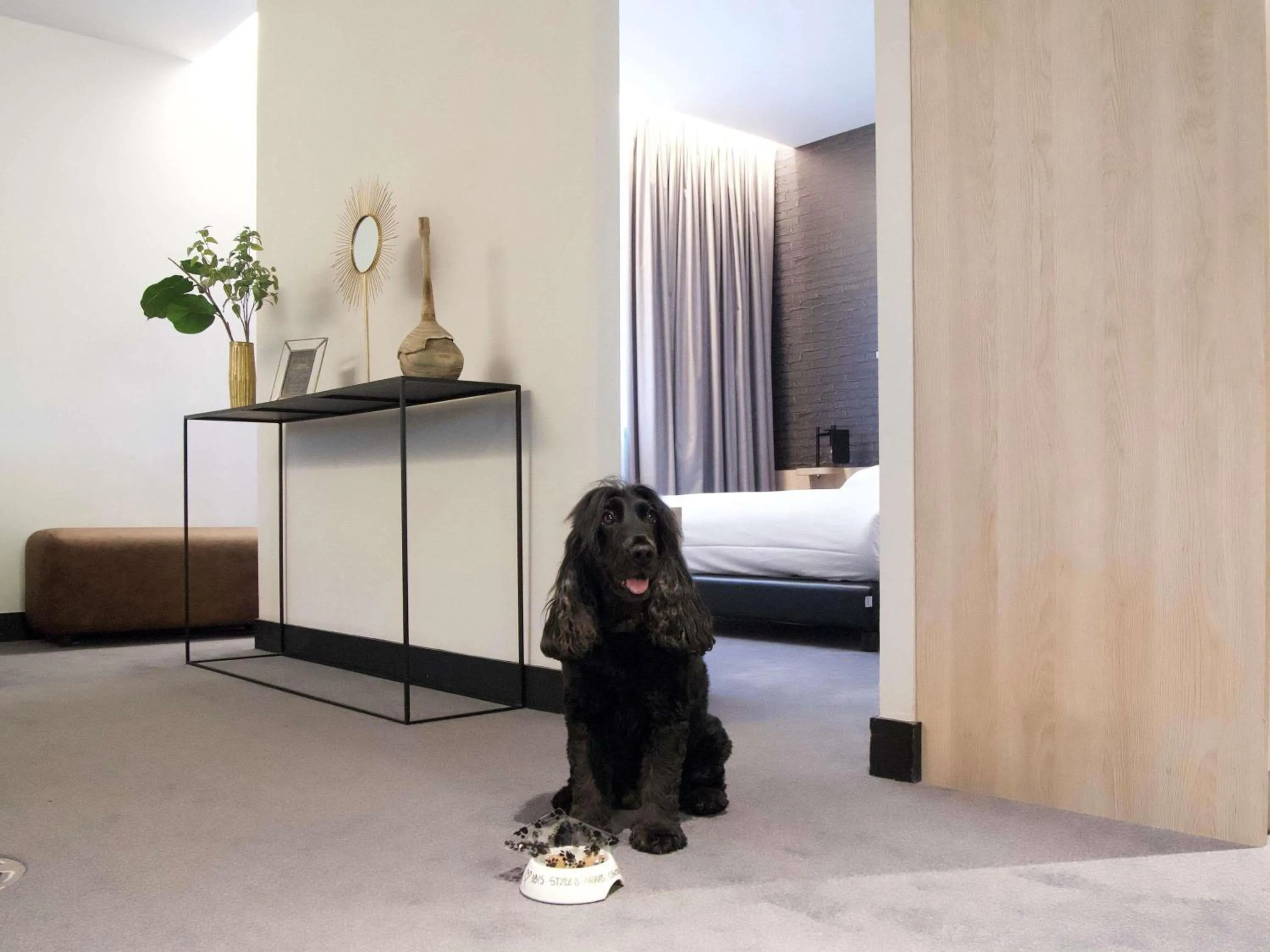 Other in ibis Styles Arras Centre