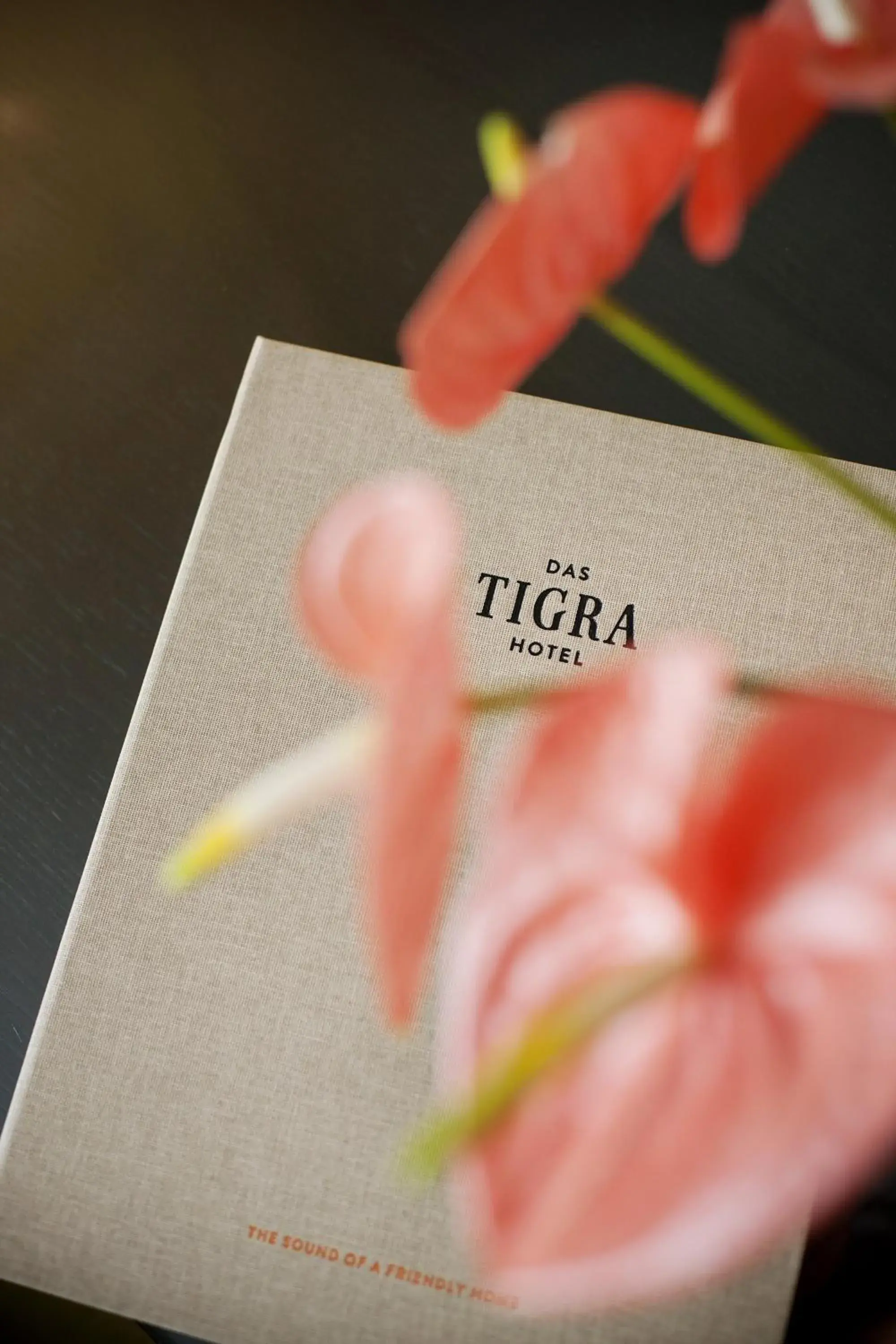 Standard Double Room in Boutique Hotel Das Tigra Standard Double Room in Boutique Hotel Das Tigra