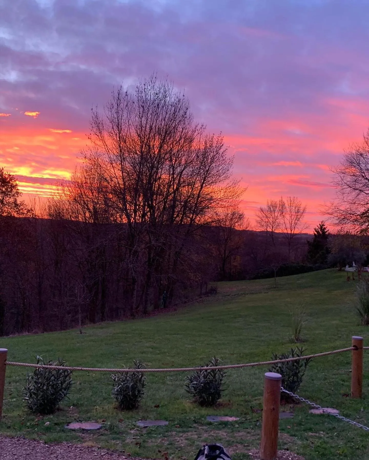 Garden view in MAISON BEAUMONT