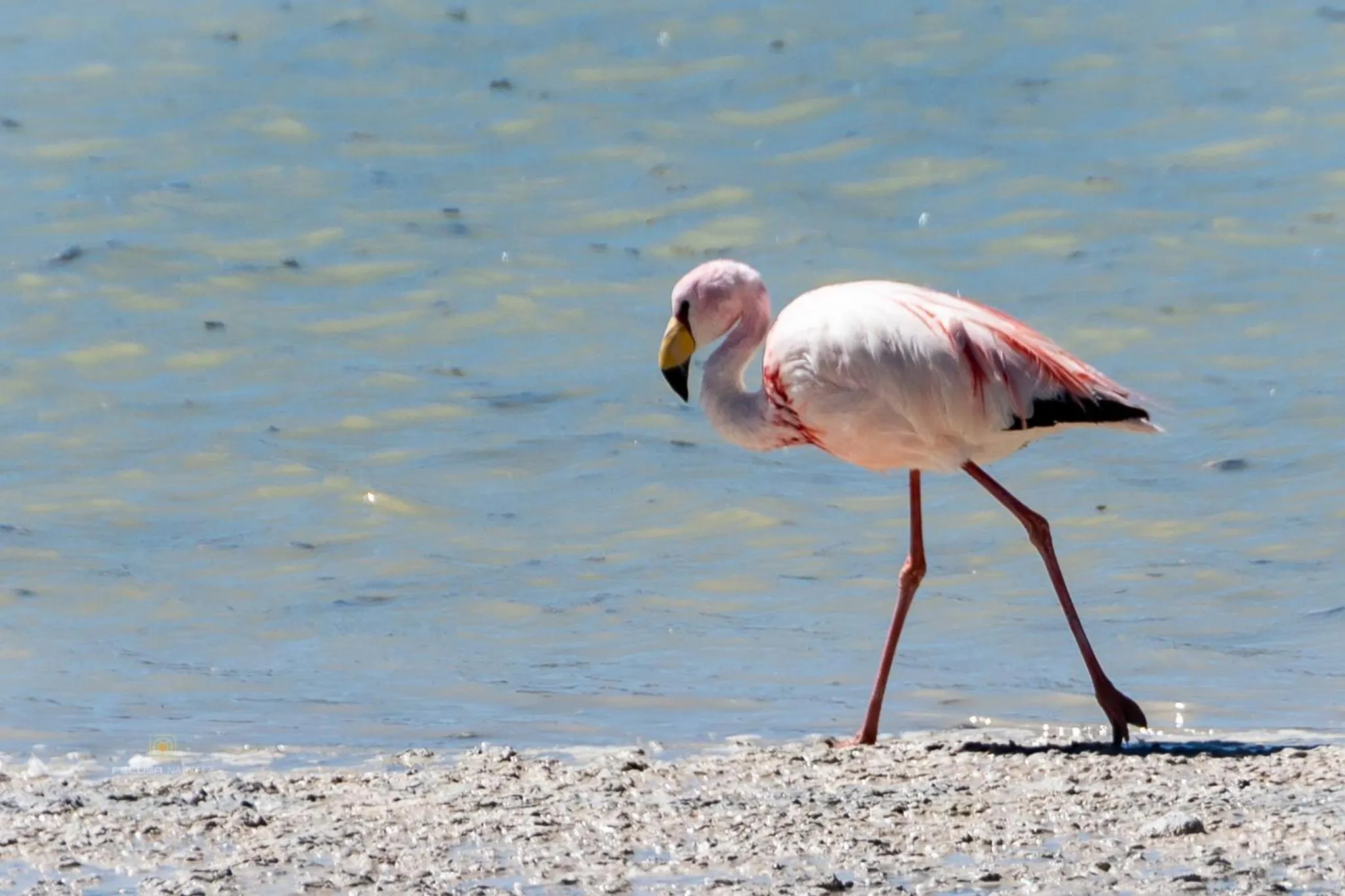 Natural landscape in Hotel Cuesta de Miranda