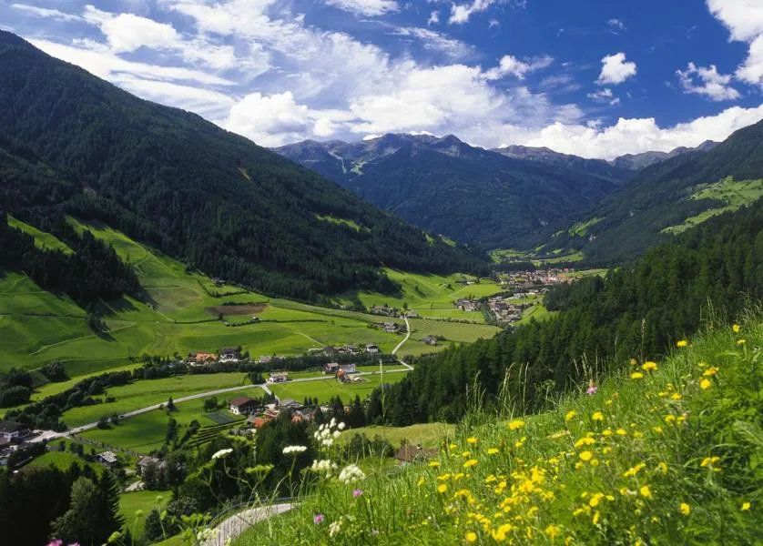 Summer in Hotel Stegerhaus