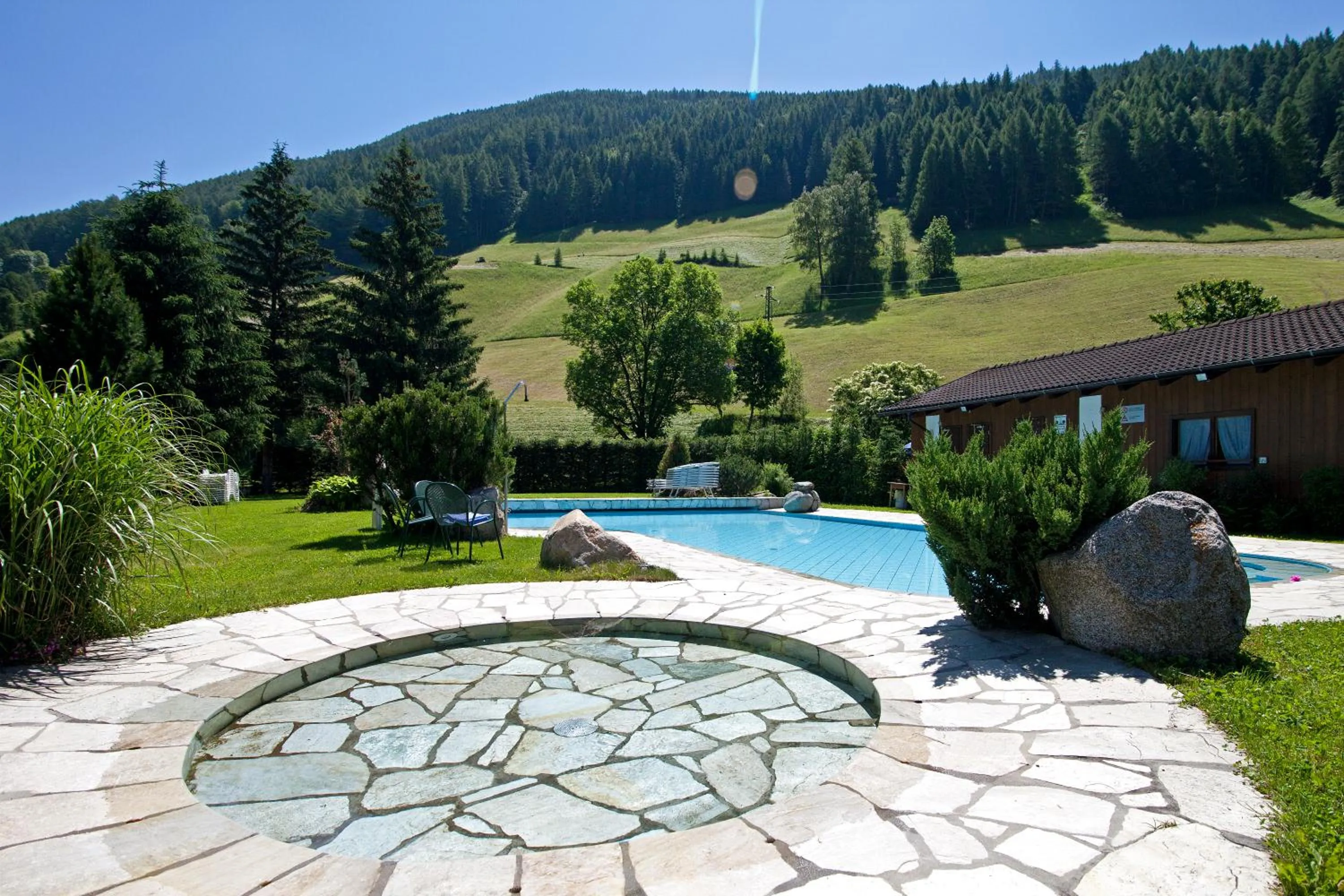 Swimming pool in Hotel Stegerhaus