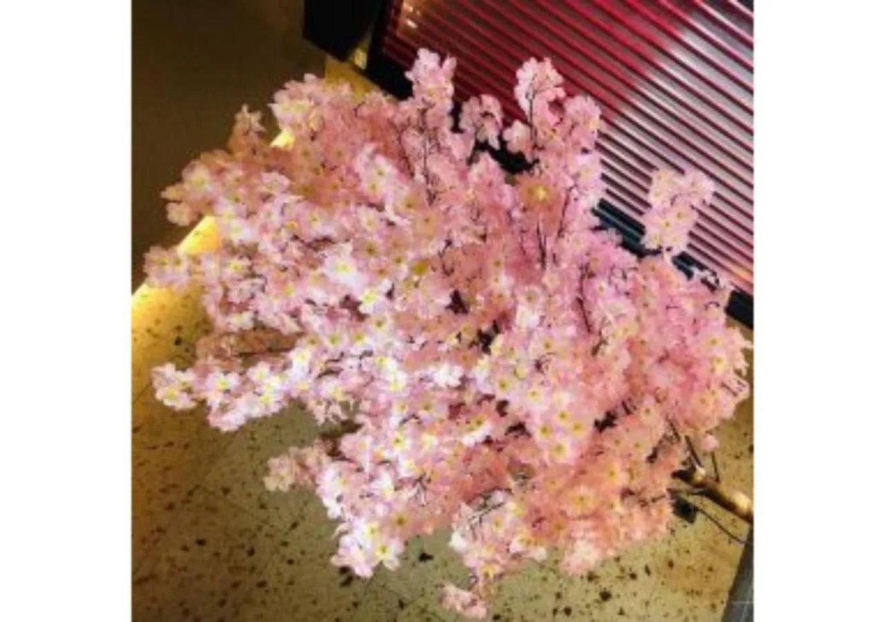 Sakura Sky Hotel - Vacation STAY 18445v