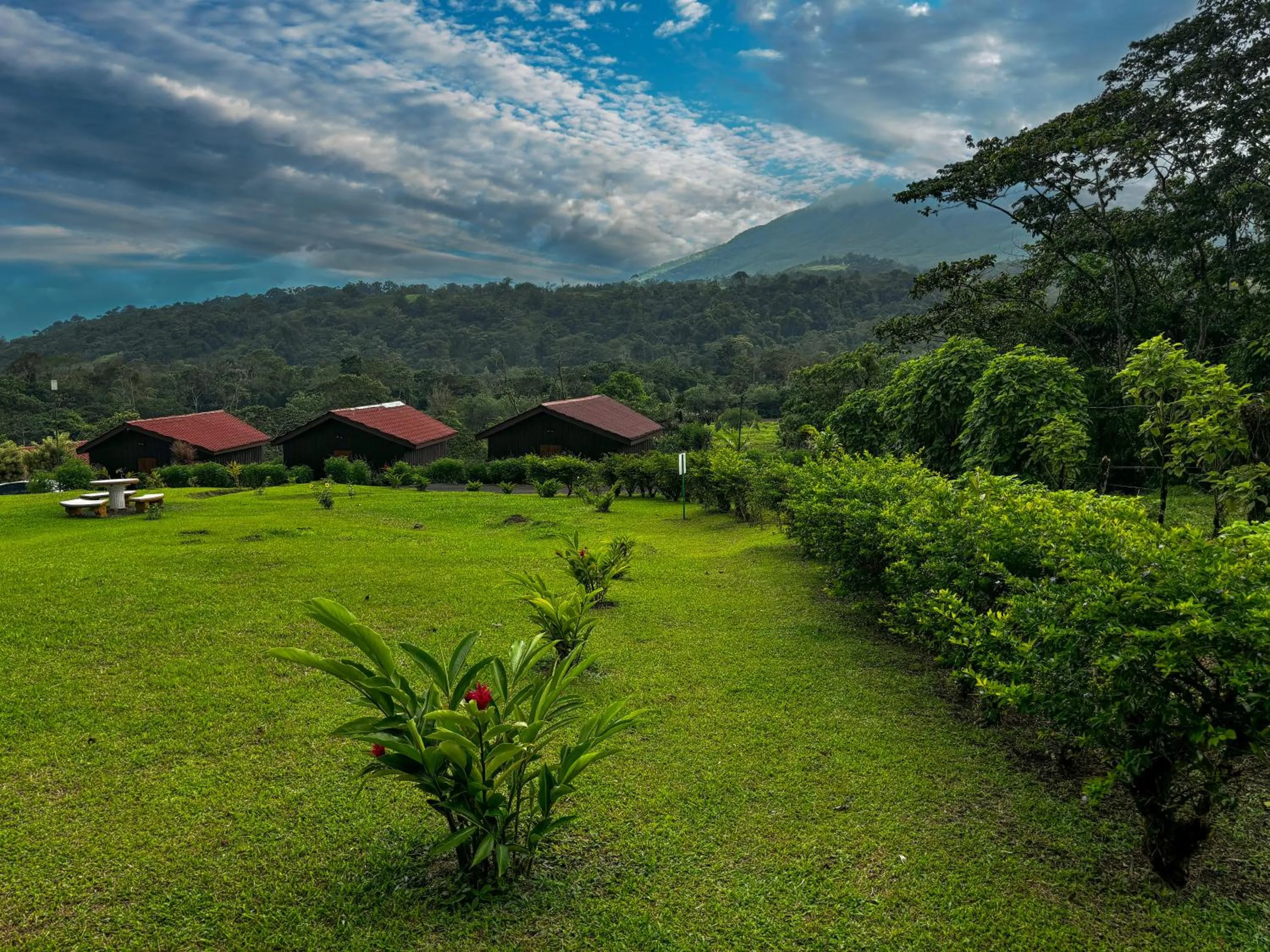 Garden in Arenal Roca Lodge & Bungalows