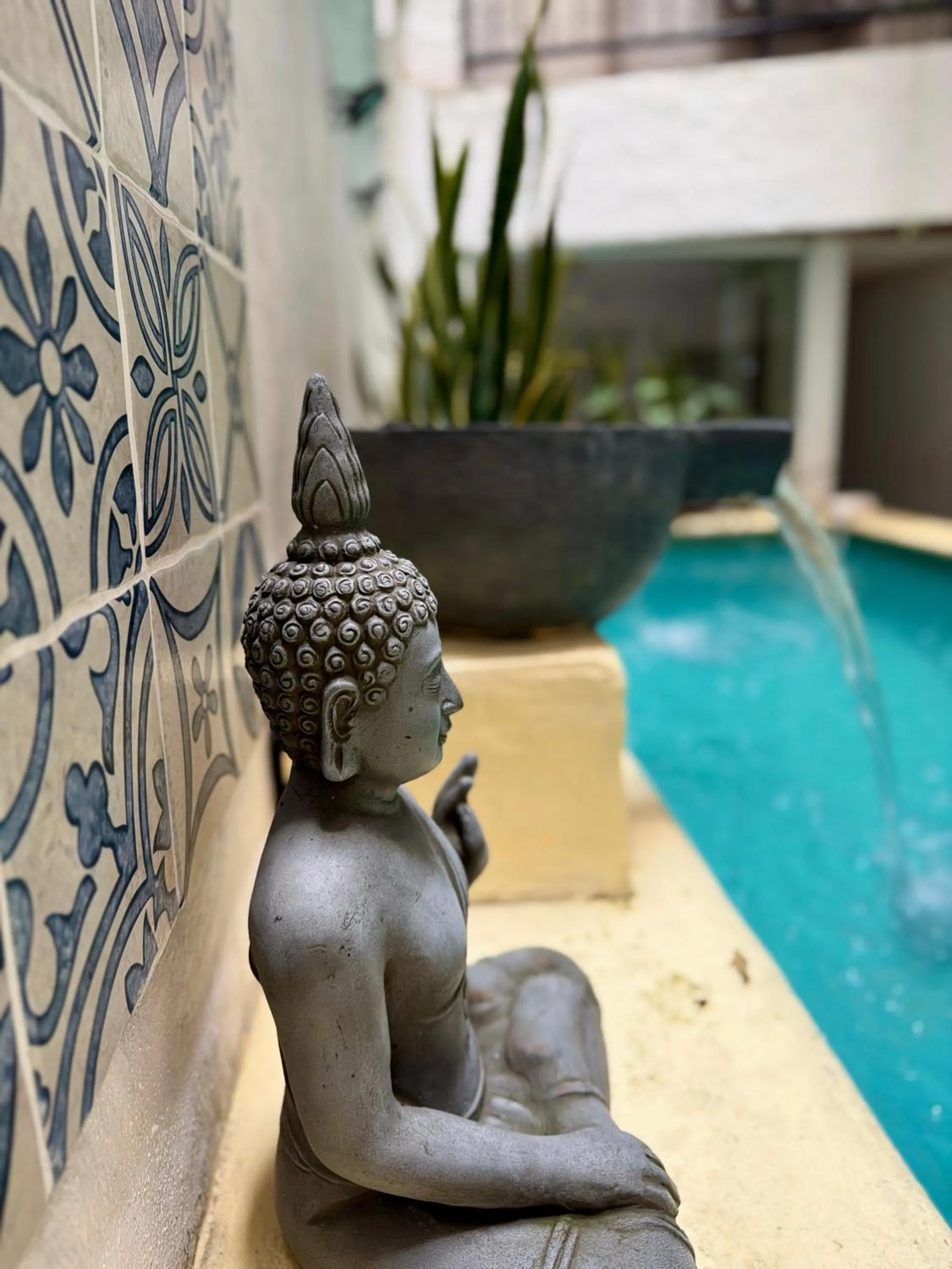 Area and facilities in Casa del Hidalgo Hotel Cali Centenario