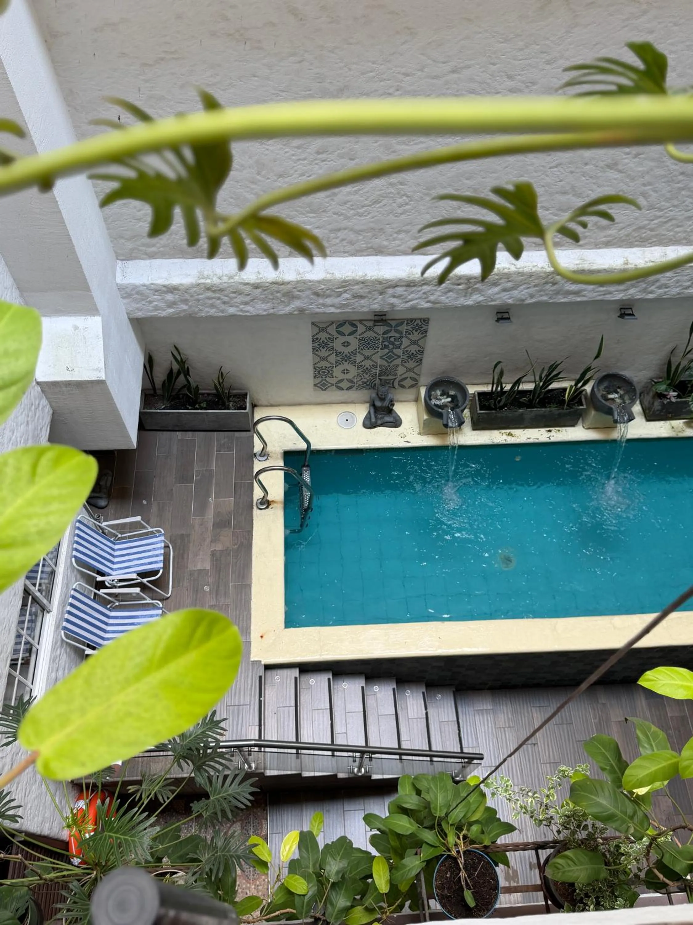 Pool view in Casa del Hidalgo Hotel Cali Centenario