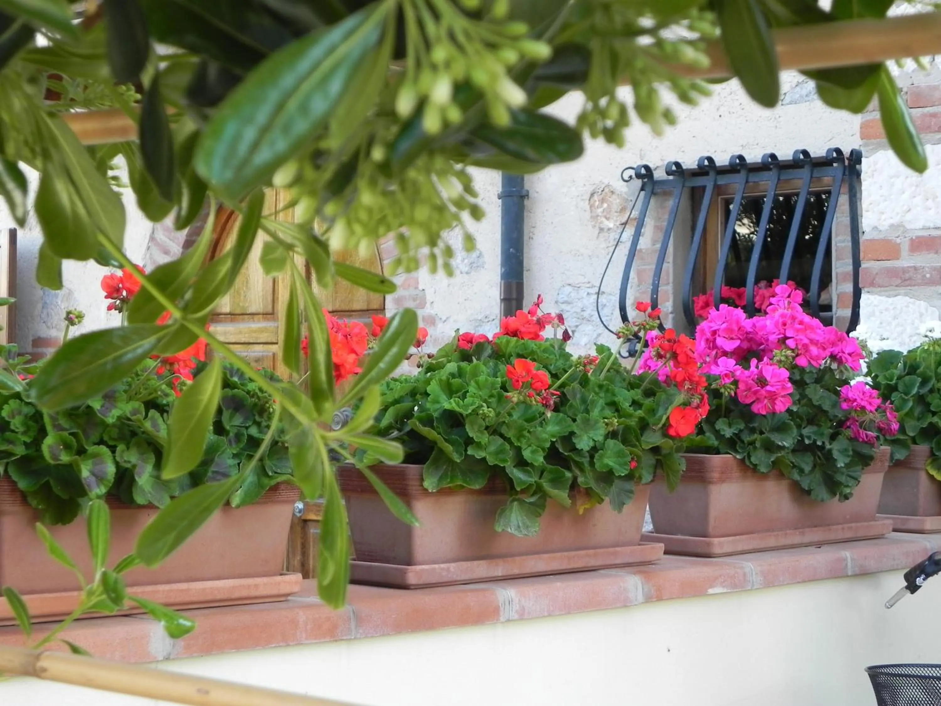 Garden view in Villa Il Fortino