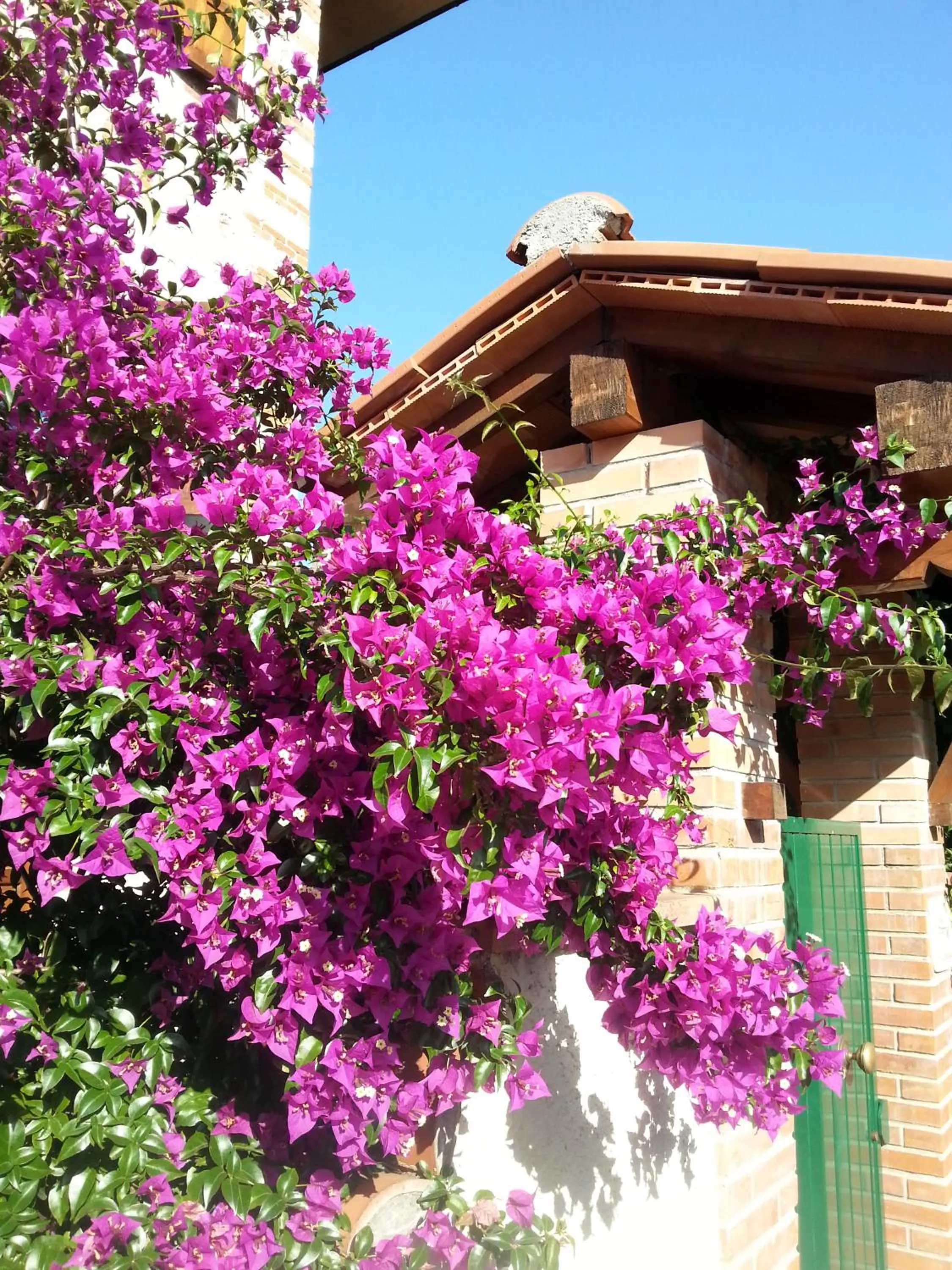 Property building in Villa Il Fortino