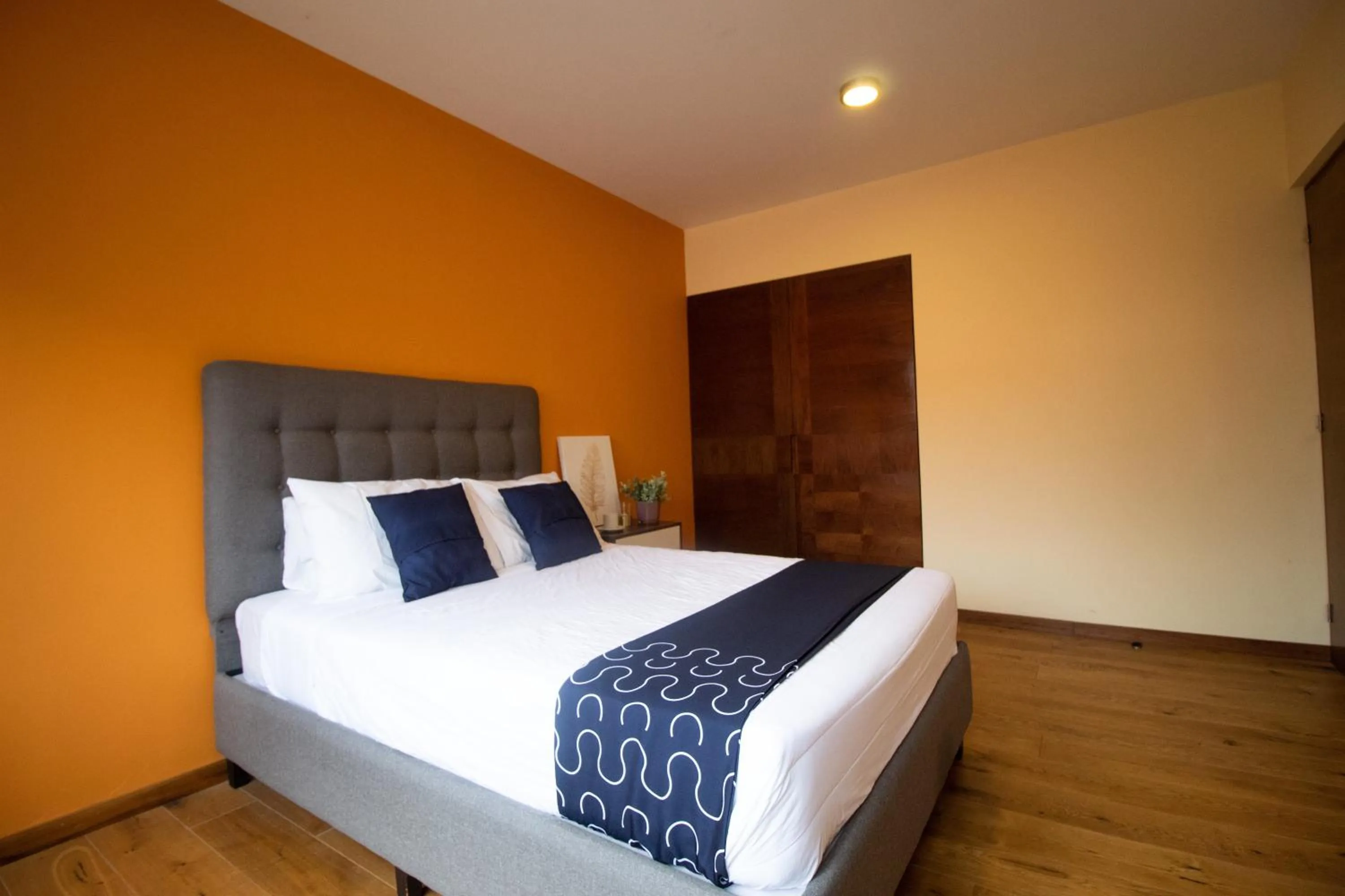 Bed in Singular Sócrates