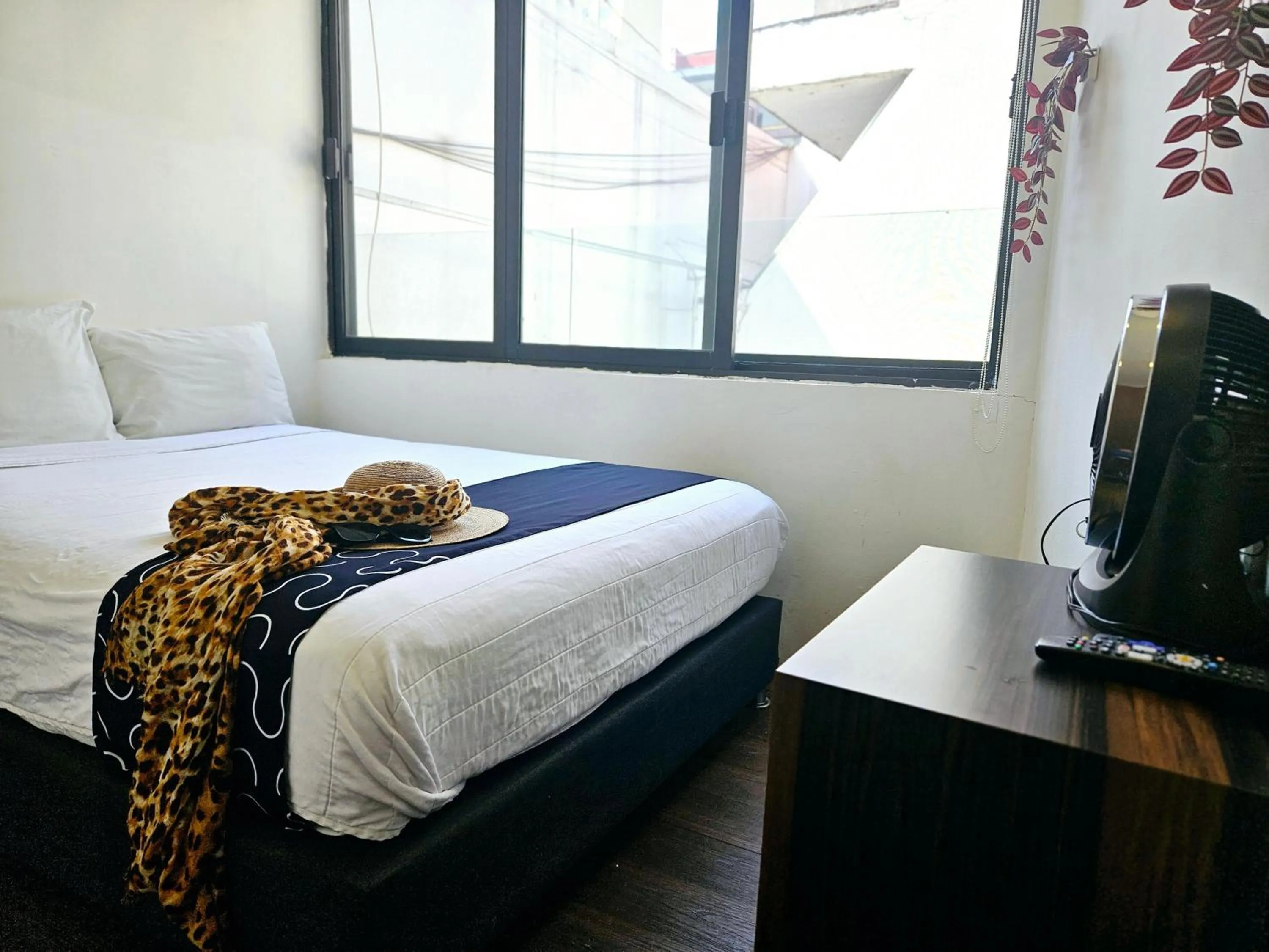 Photo of the whole room, Bed in Singular Sócrates