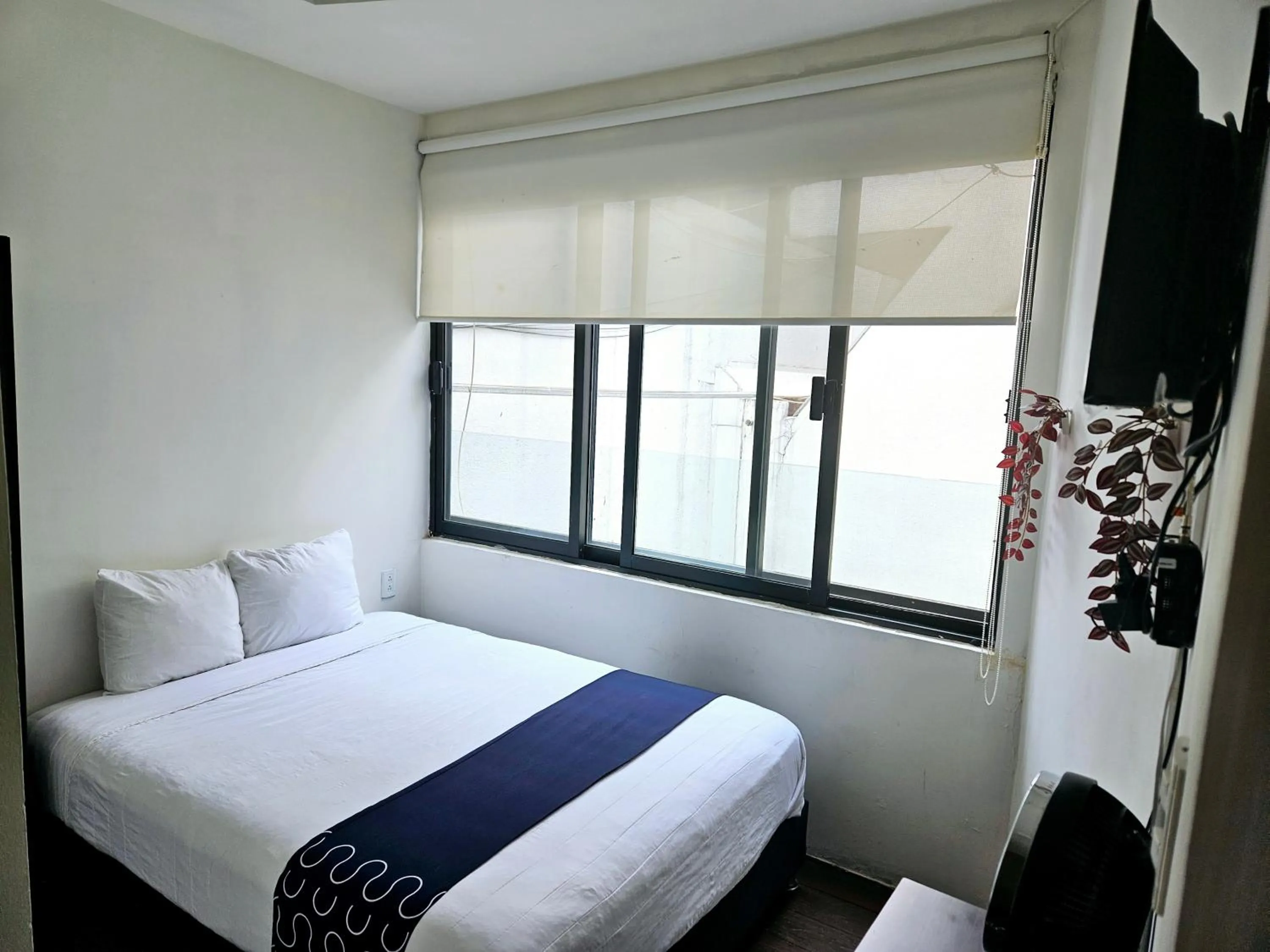 Photo of the whole room, Bed in Singular Sócrates