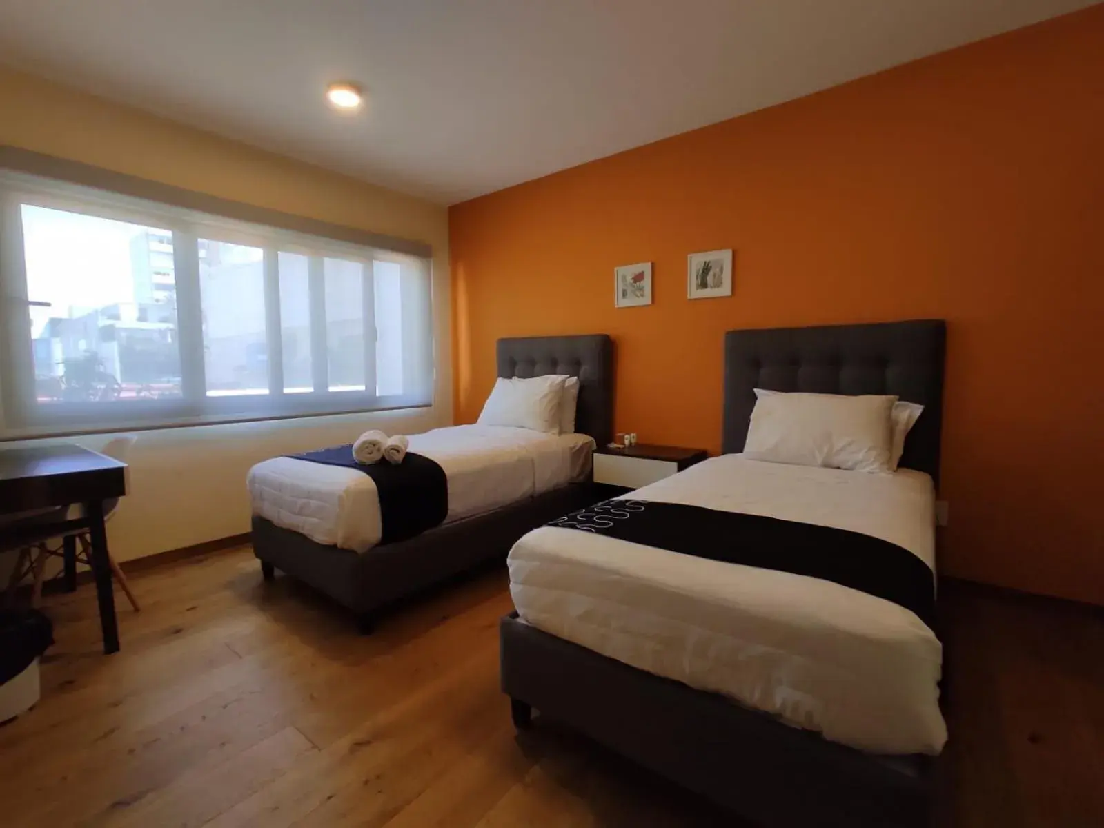 Photo of the whole room, Bed in Singular Sócrates Photo of the whole room, Bed in Singular Sócrates