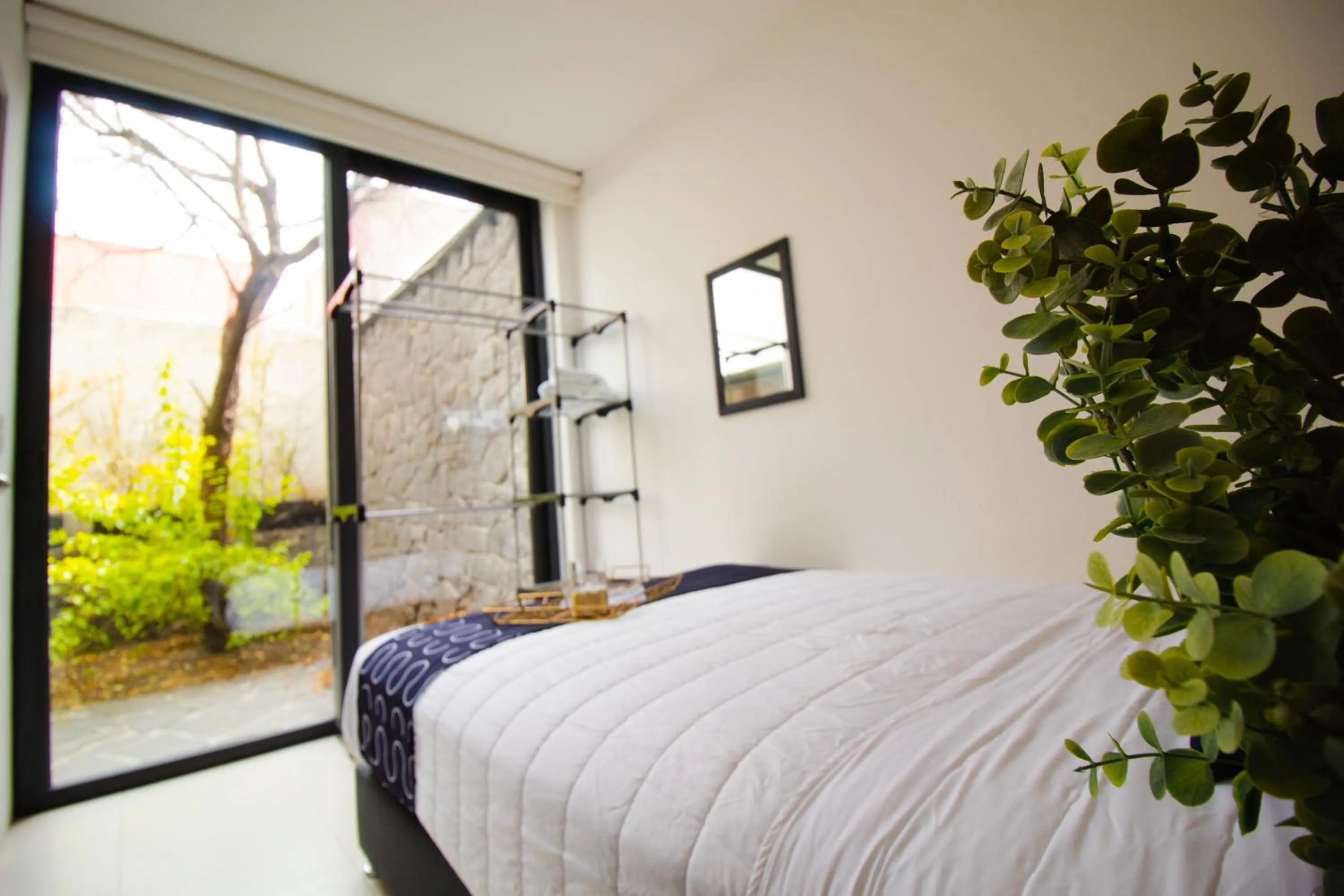 Bed in Singular Sócrates