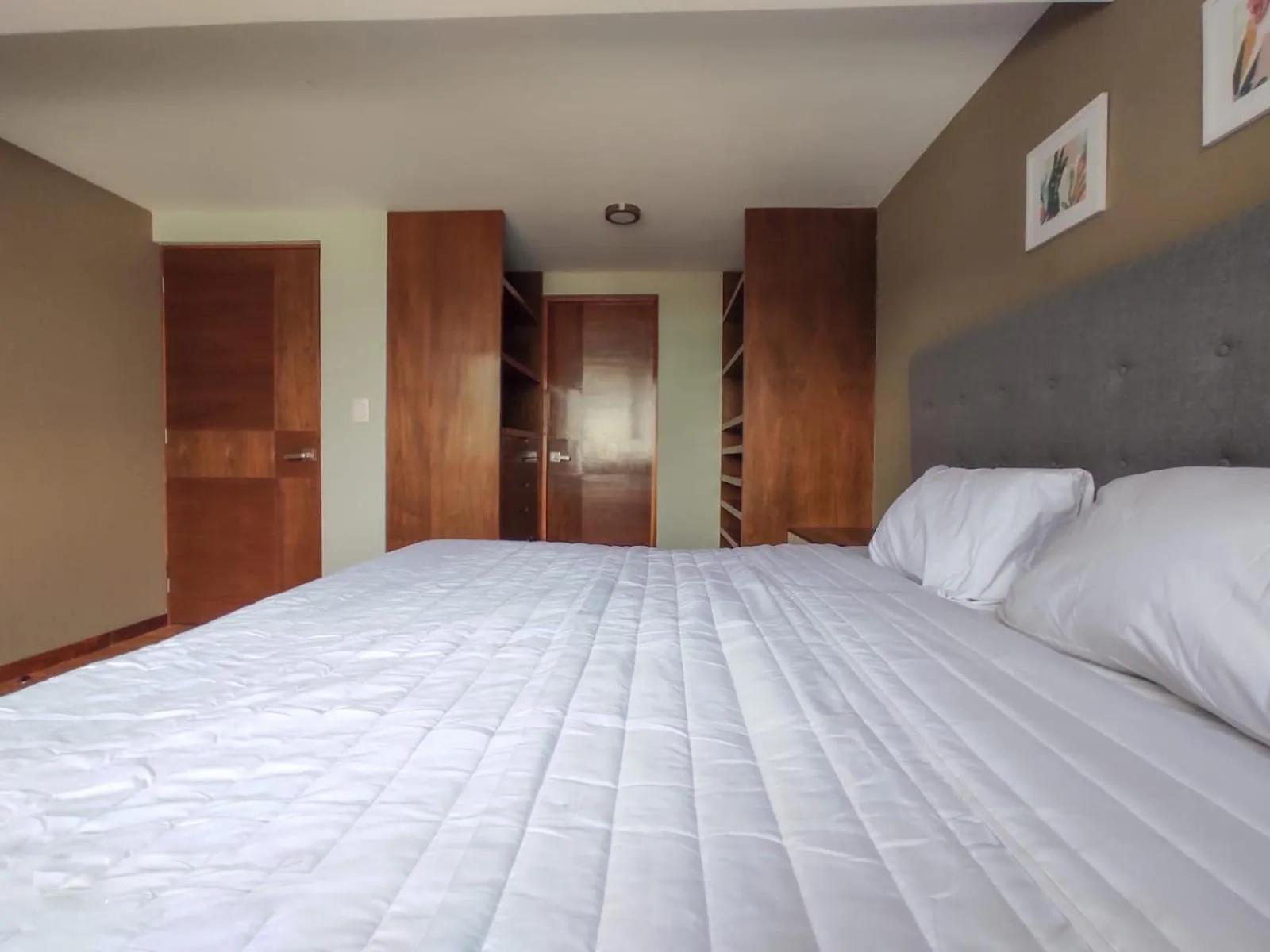 Bedroom, Bed in Singular Sócrates