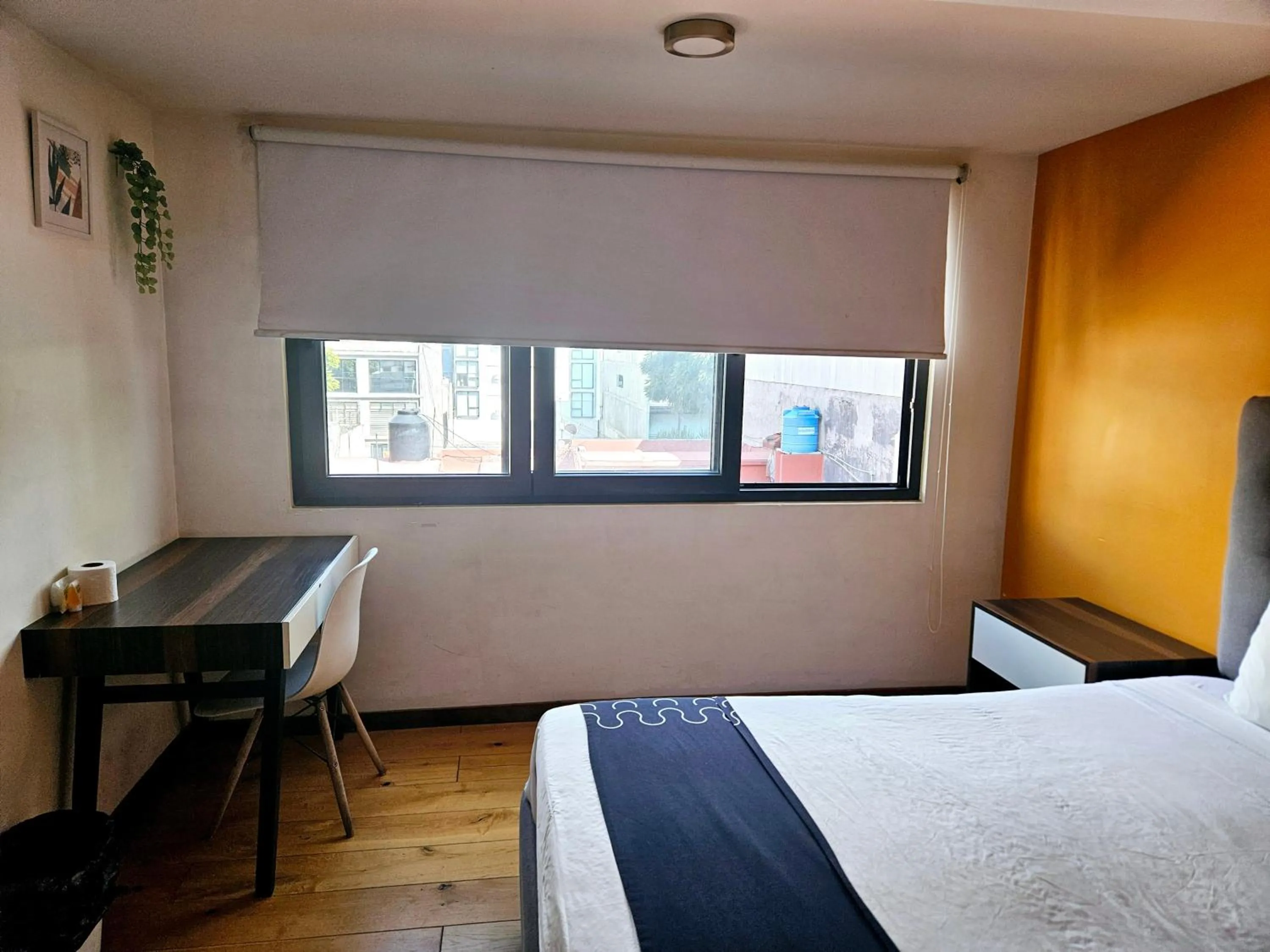 Photo of the whole room, Bed in Singular Sócrates