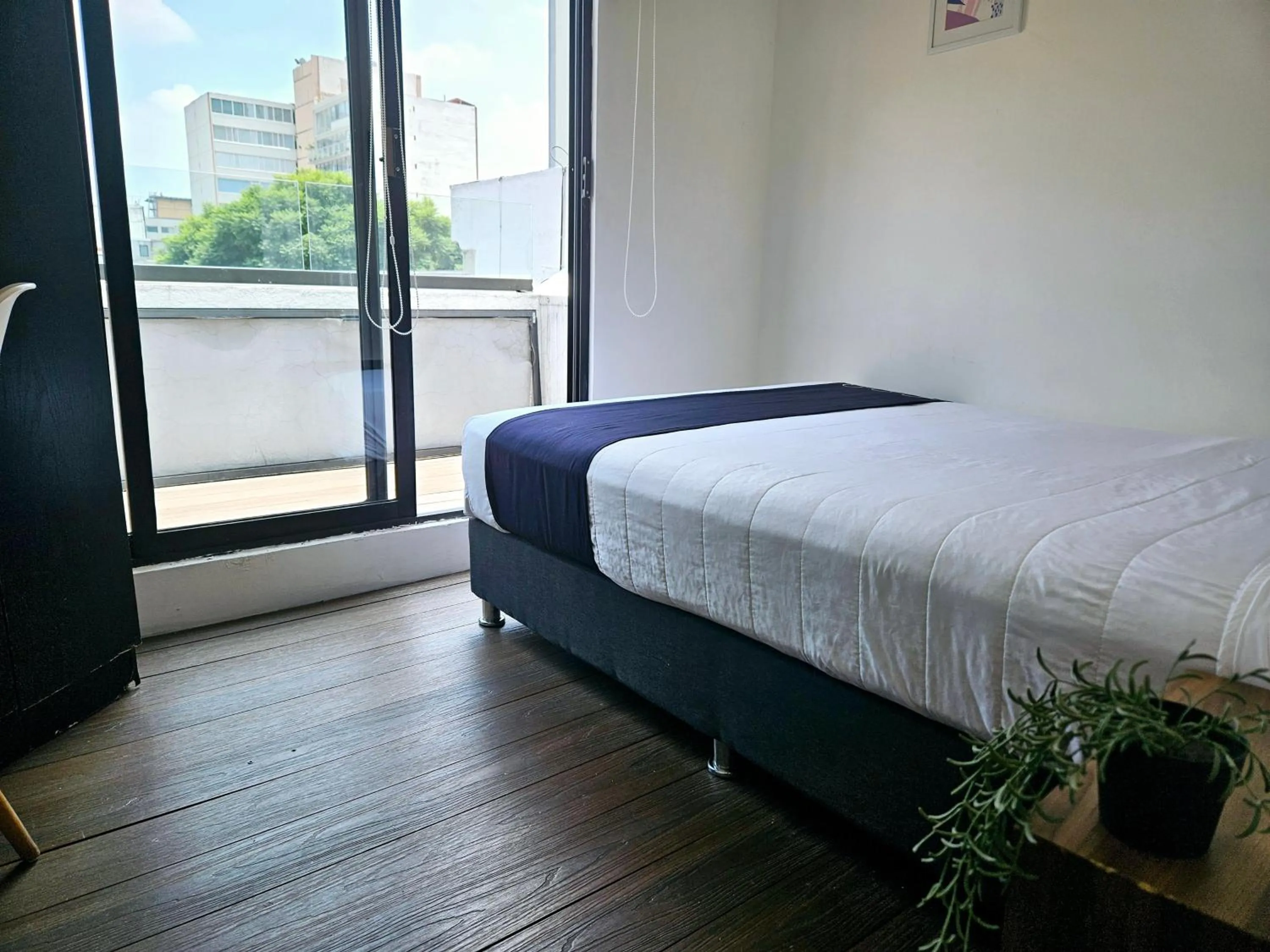 Photo of the whole room, Bed in Singular Sócrates