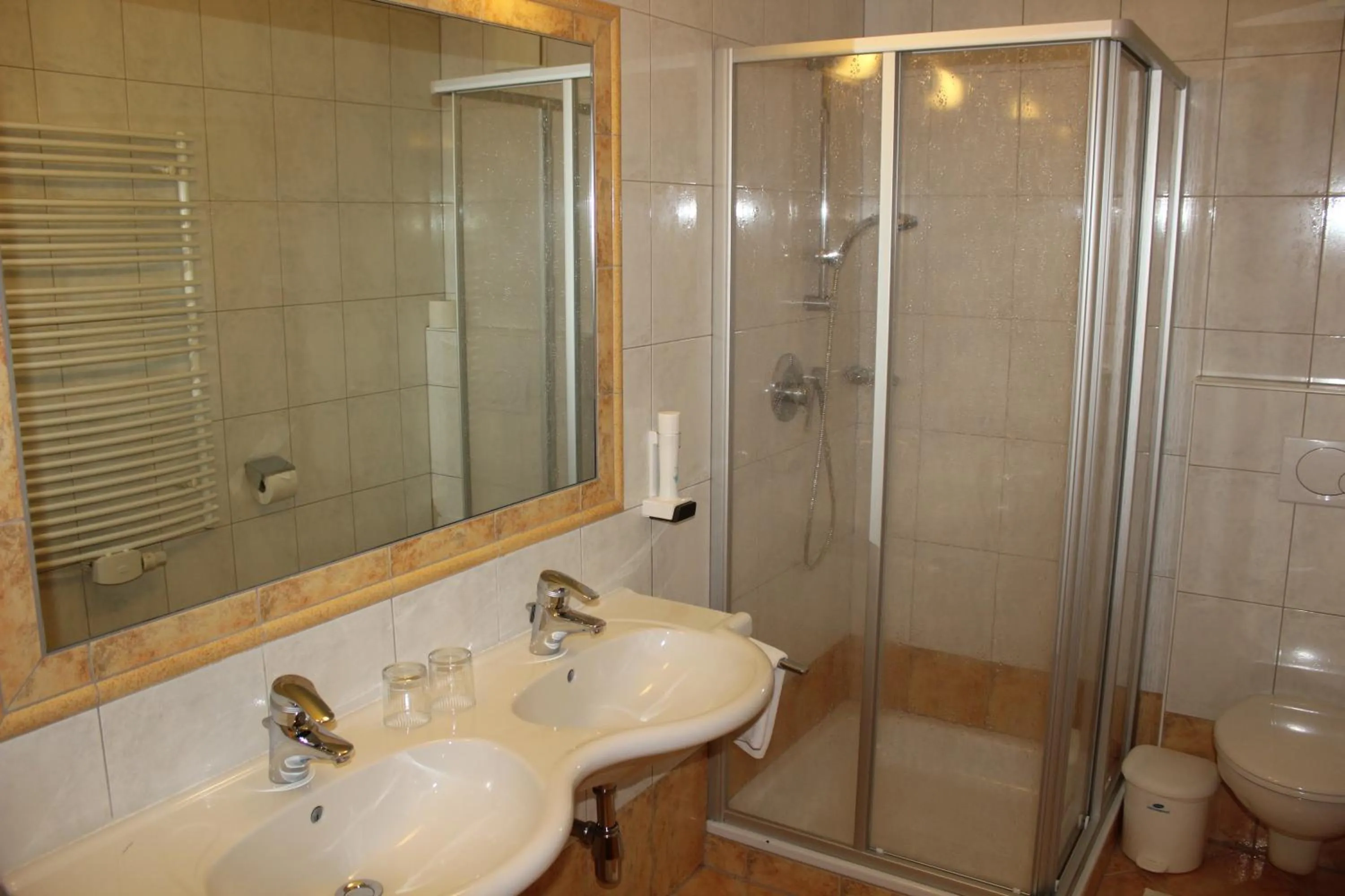 Shower in Hotel Flatscher