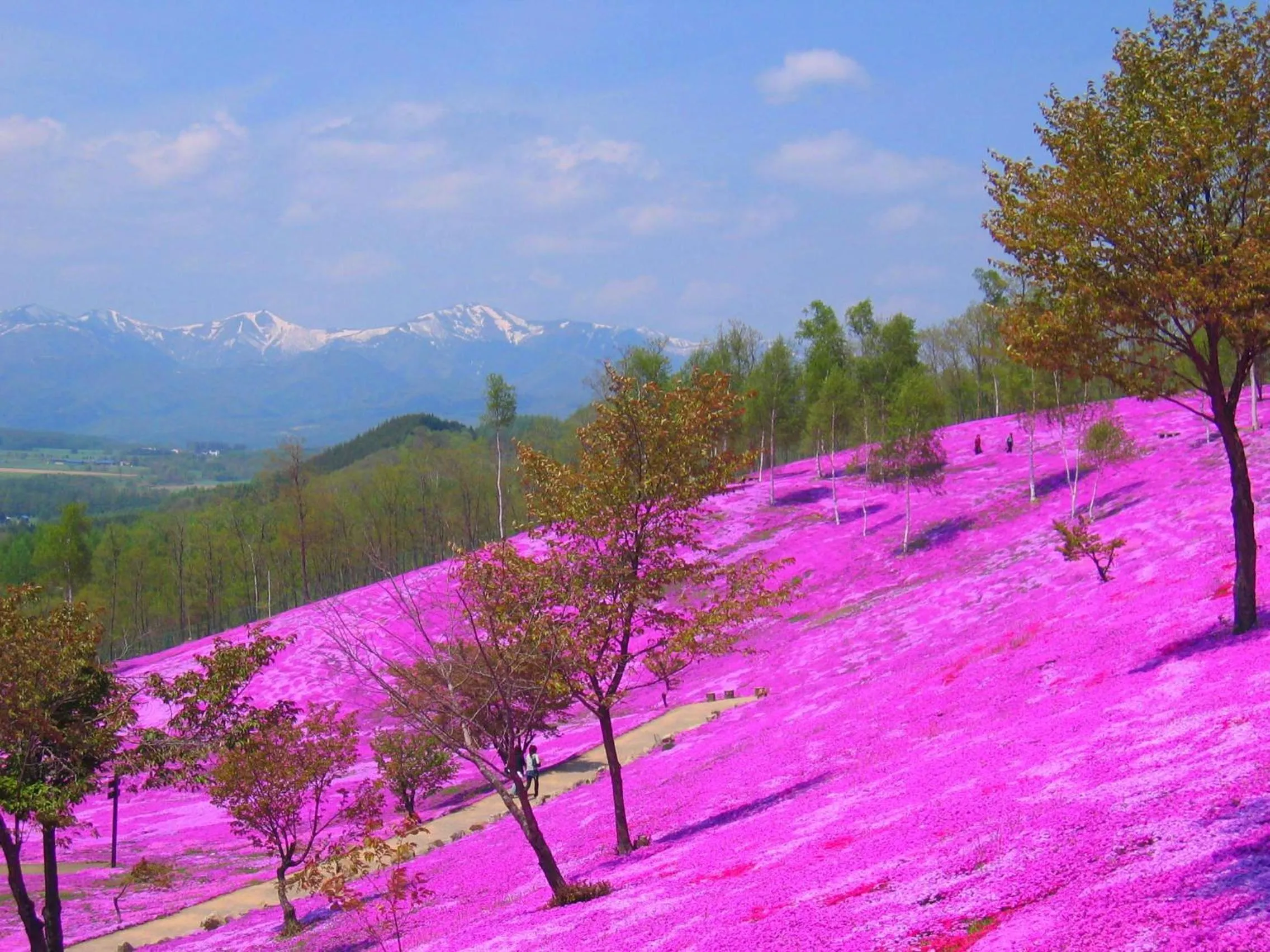 Off site in Takinoue Hotel Keikoku