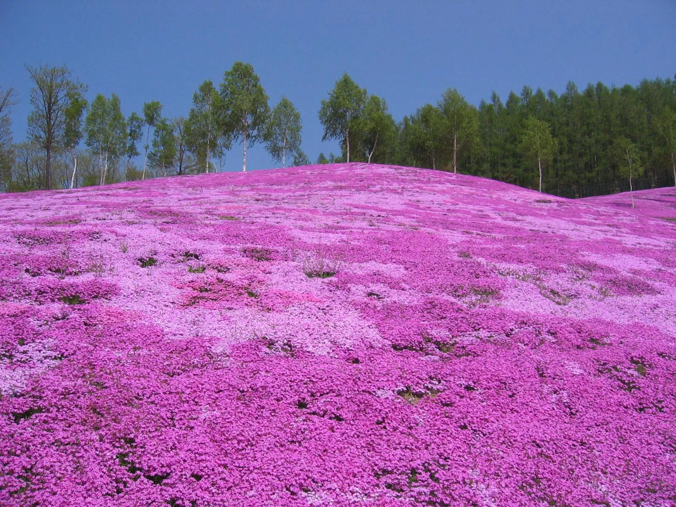 Off site in Takinoue Hotel Keikoku