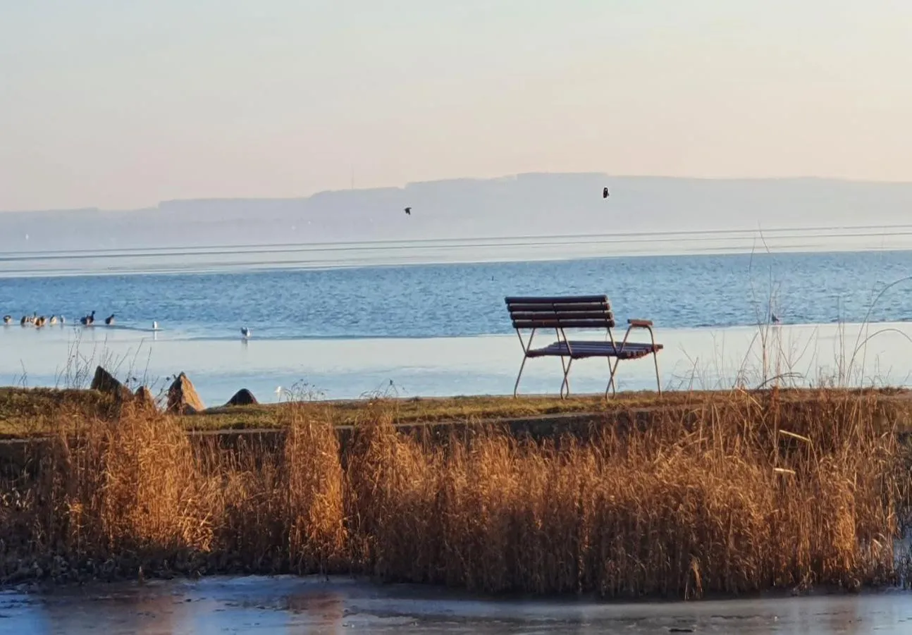 Winter in Marina Apartment by Dora