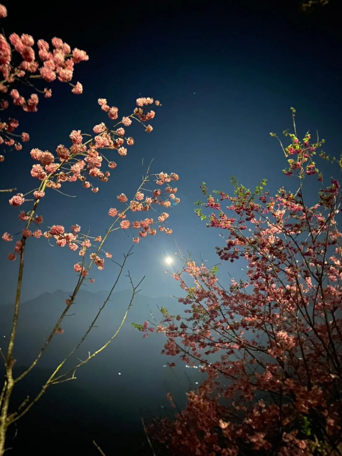 Spring Ground Resort