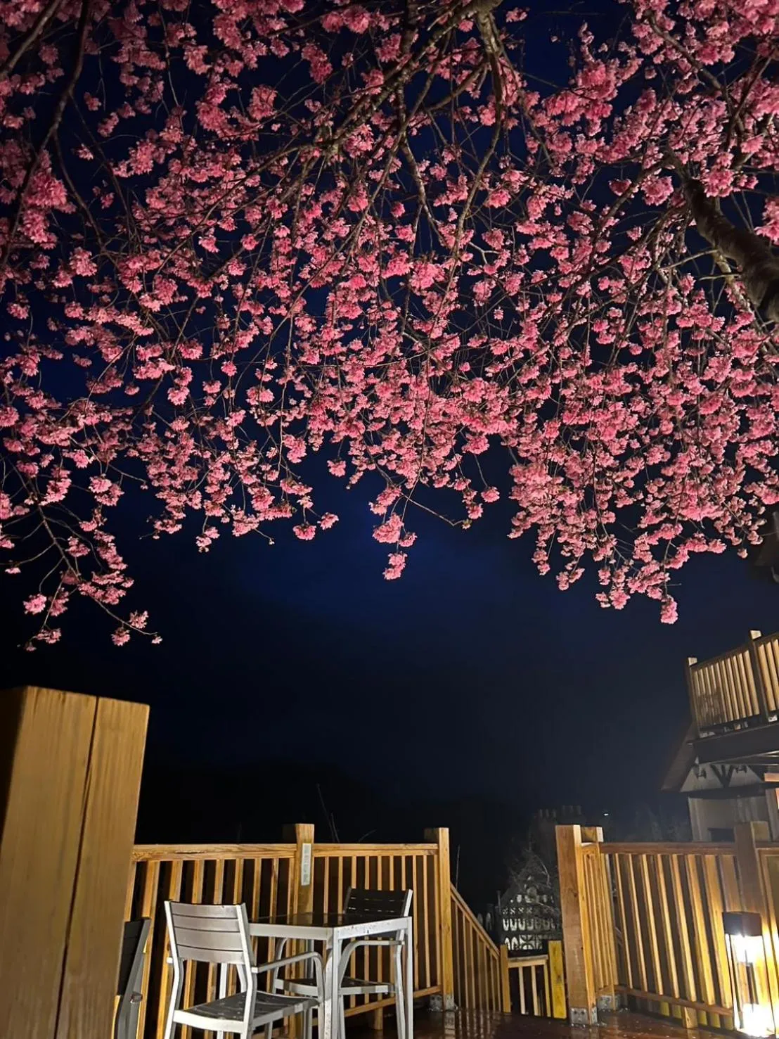 Spring Ground Resort