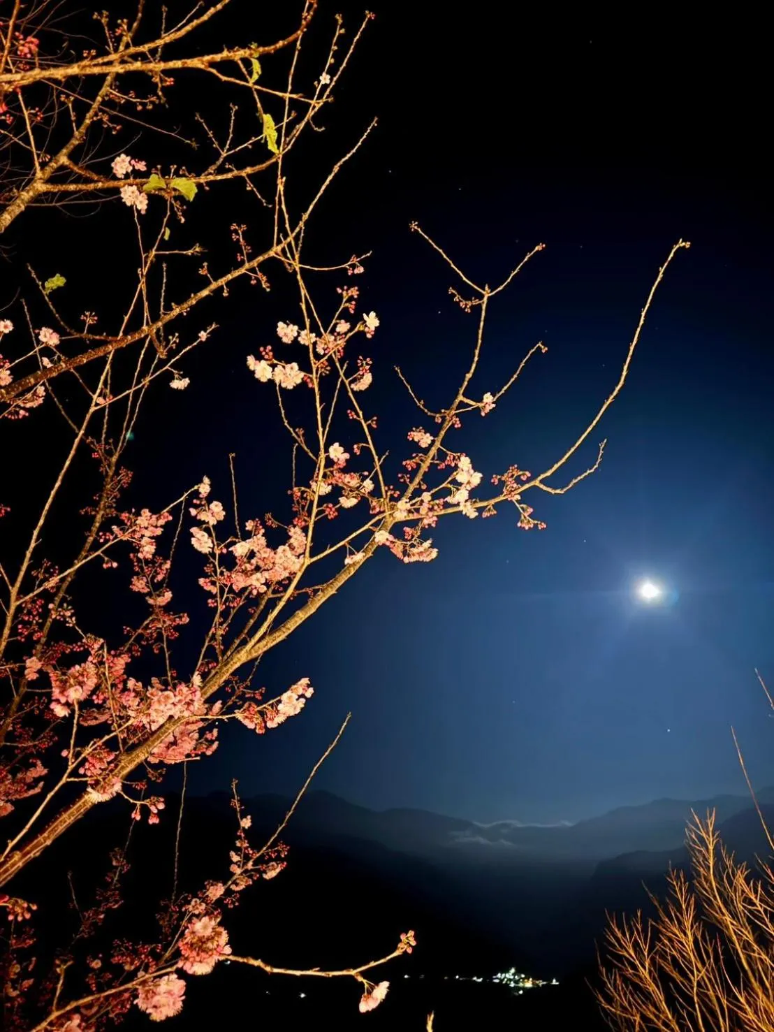 Spring in Spring Ground Resort