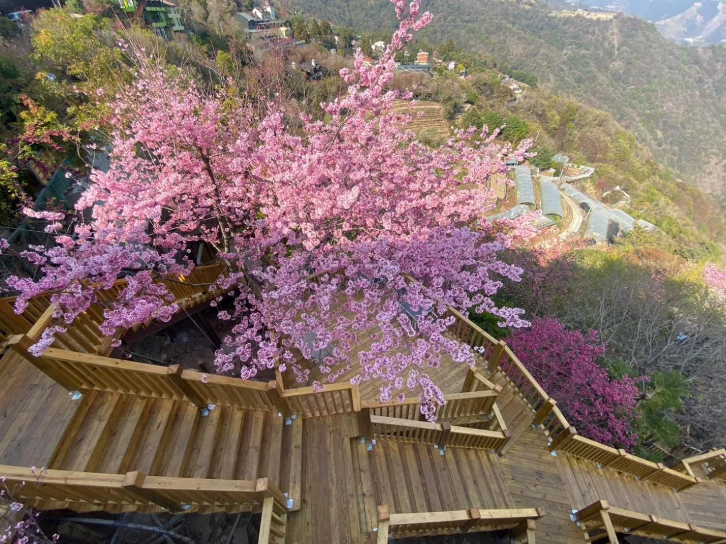 Spring Ground Resort