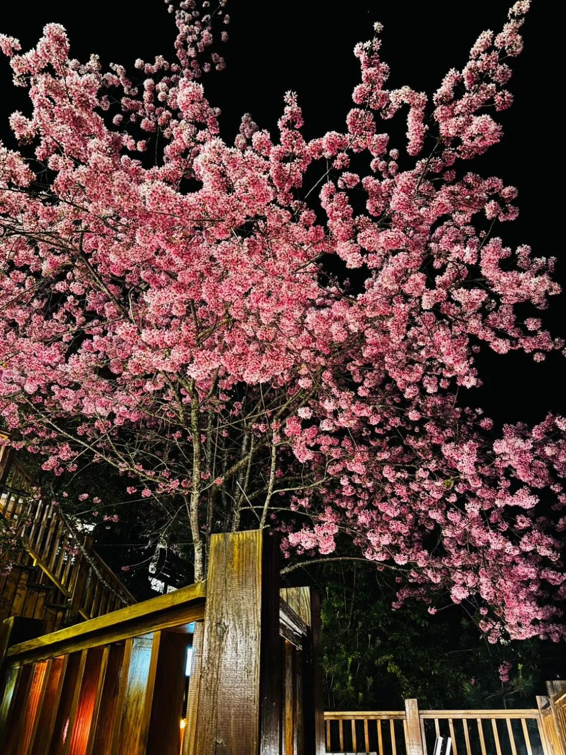 Spring in Spring Ground Resort