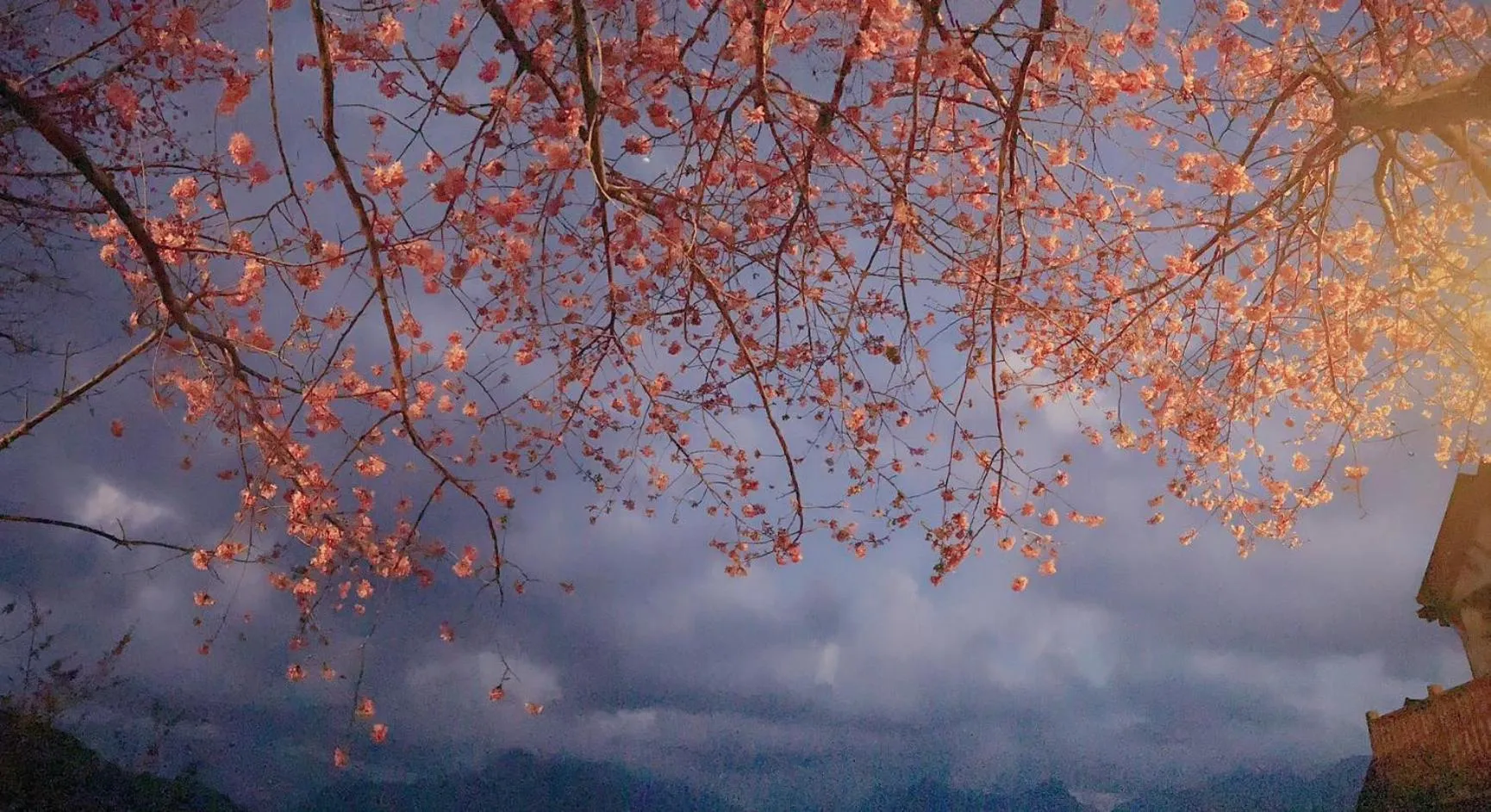 Spring Ground Resort