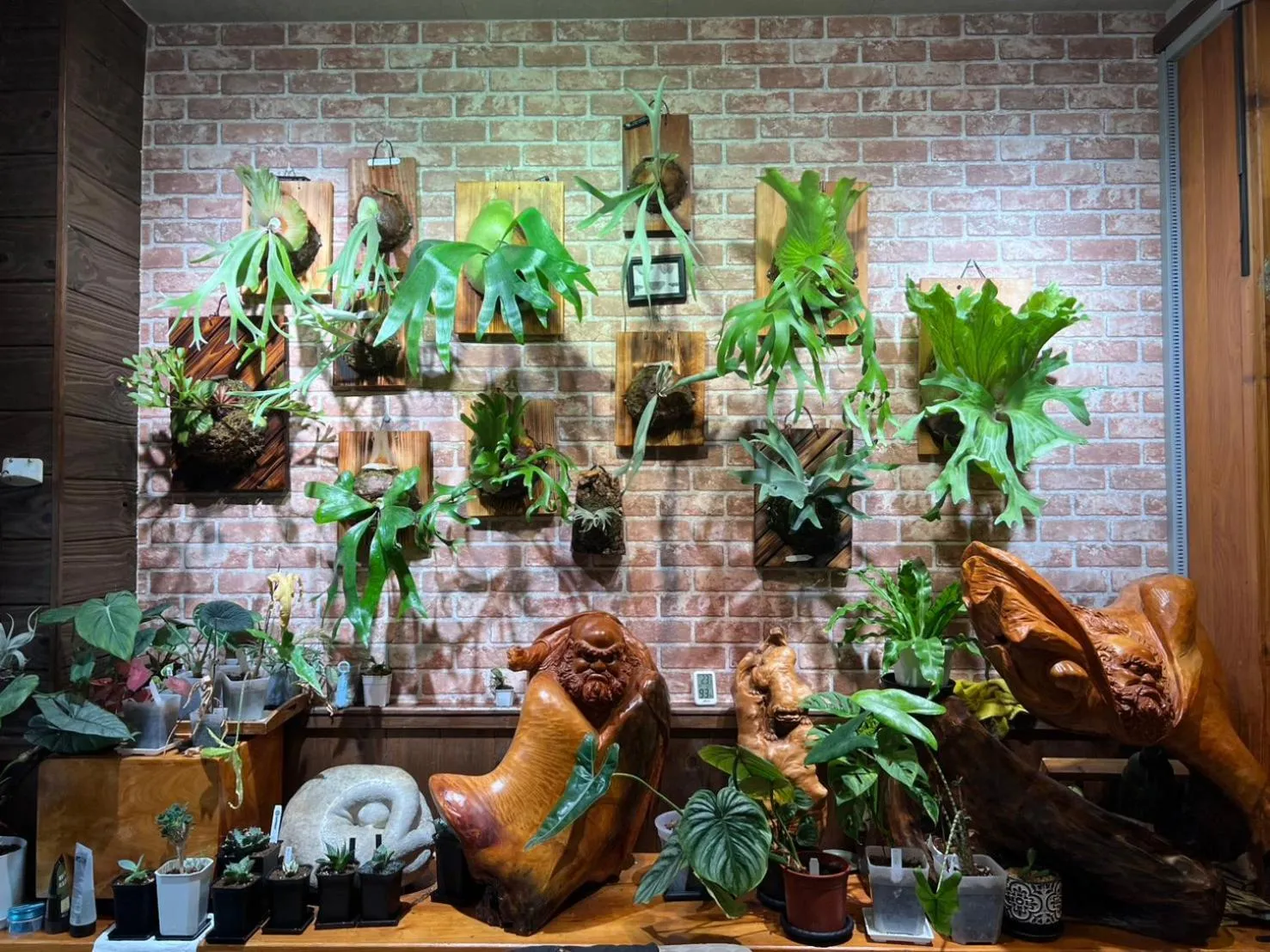 Restaurant/places to eat in Spring Ground Resort