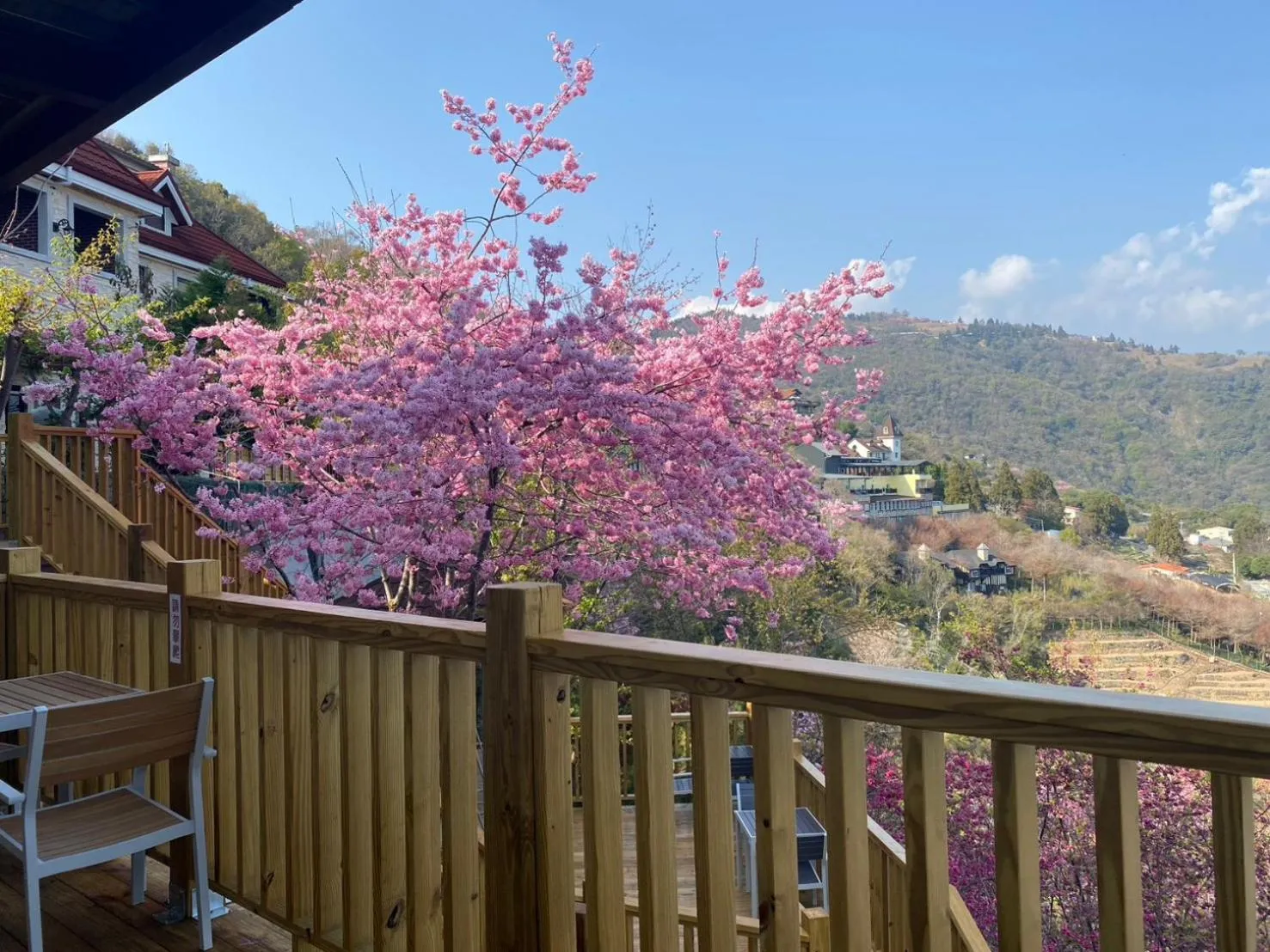 Spring Ground Resort