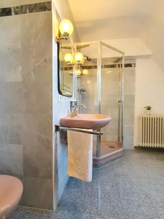 Shower in Apartment Haus Pflingsteck nahe Europa Park Rulantica