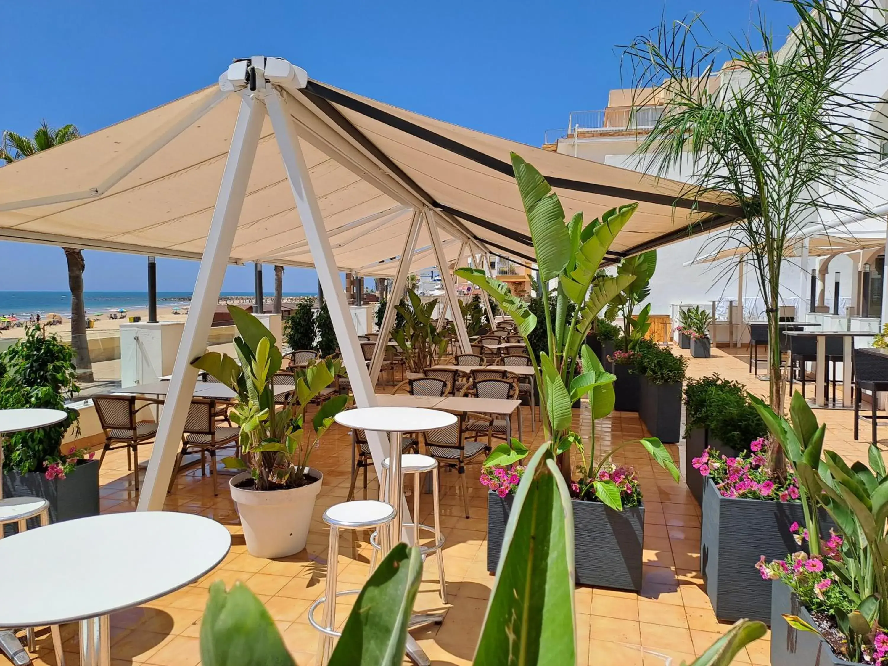 Restaurant/places to eat in Hotel Vértice Chipiona Mar Restaurant/places to eat in Hotel Vértice Chipiona Mar