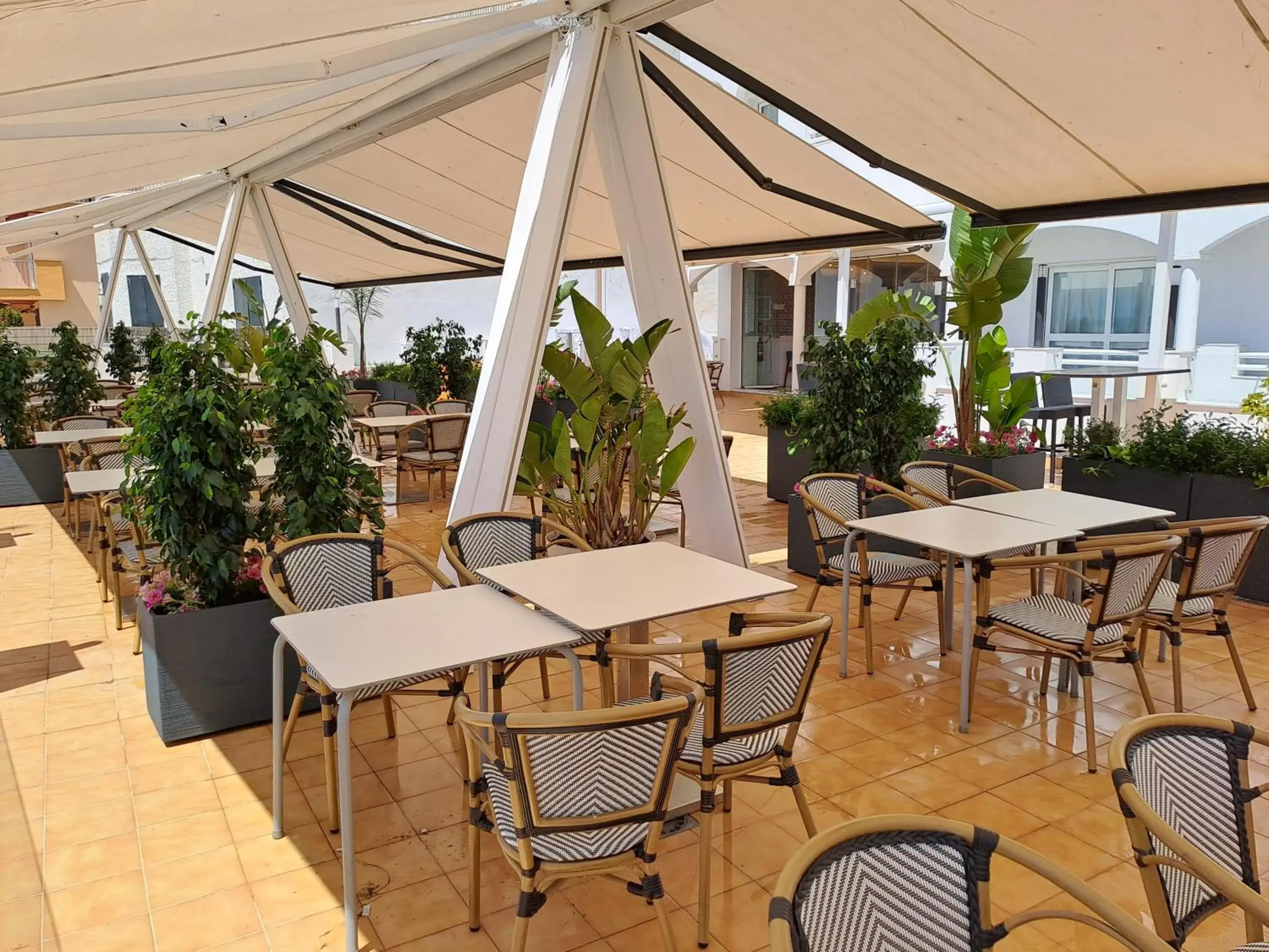 Restaurant/places to eat in Hotel Vértice Chipiona Mar Restaurant/places to eat in Hotel Vértice Chipiona Mar