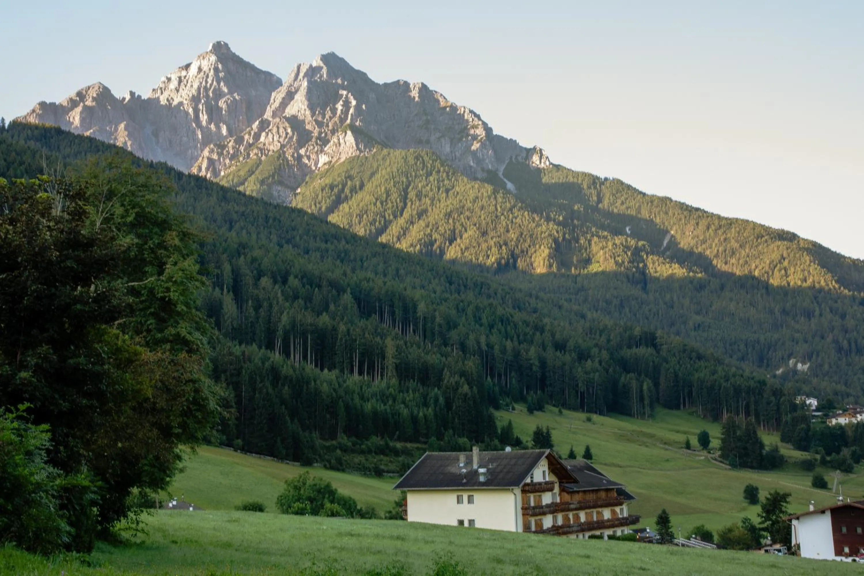 Natural landscape in Hotel Wiesenhof