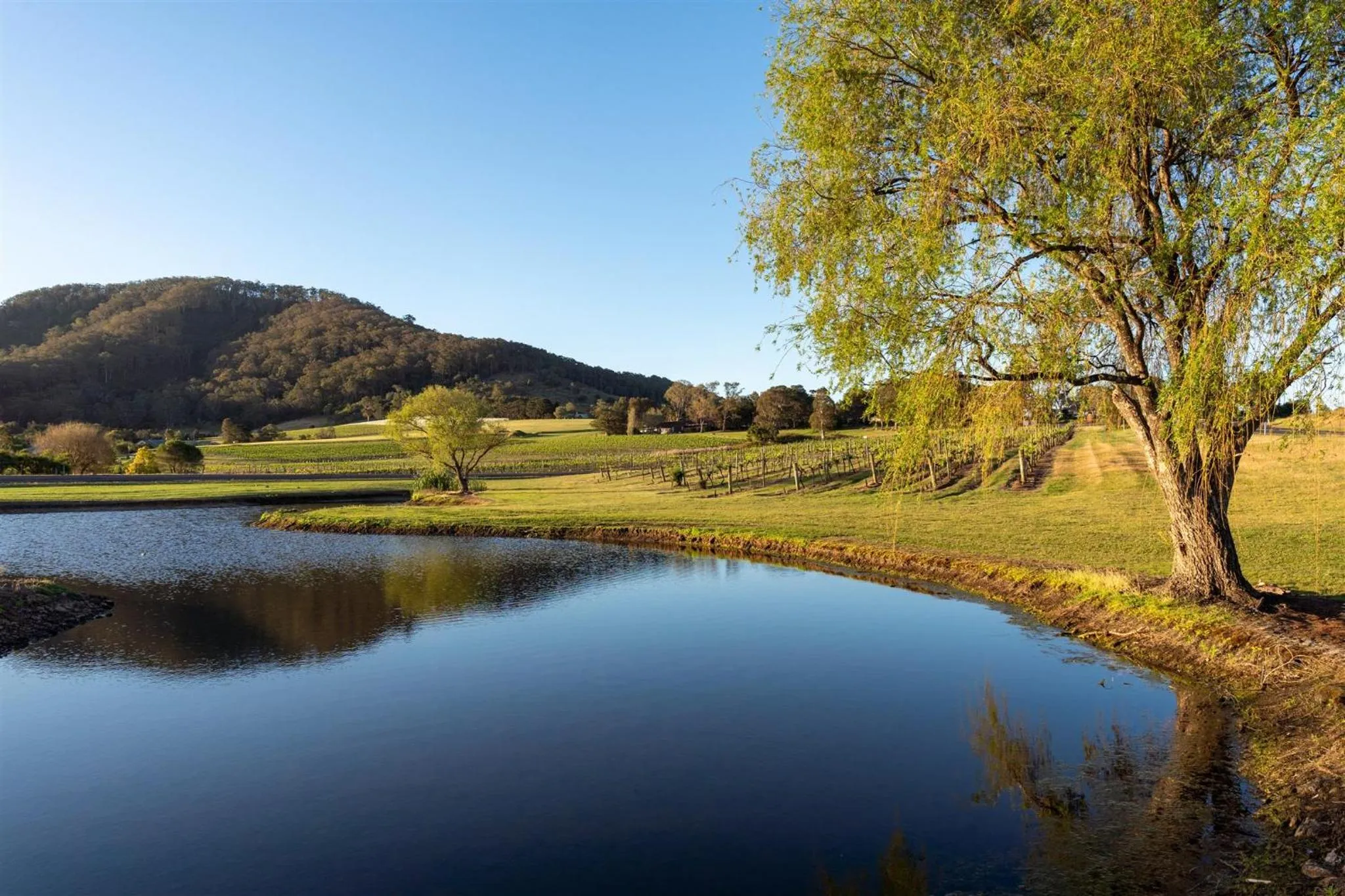 Facade/entrance in Coolangatta Estate Shoalhaven Heads