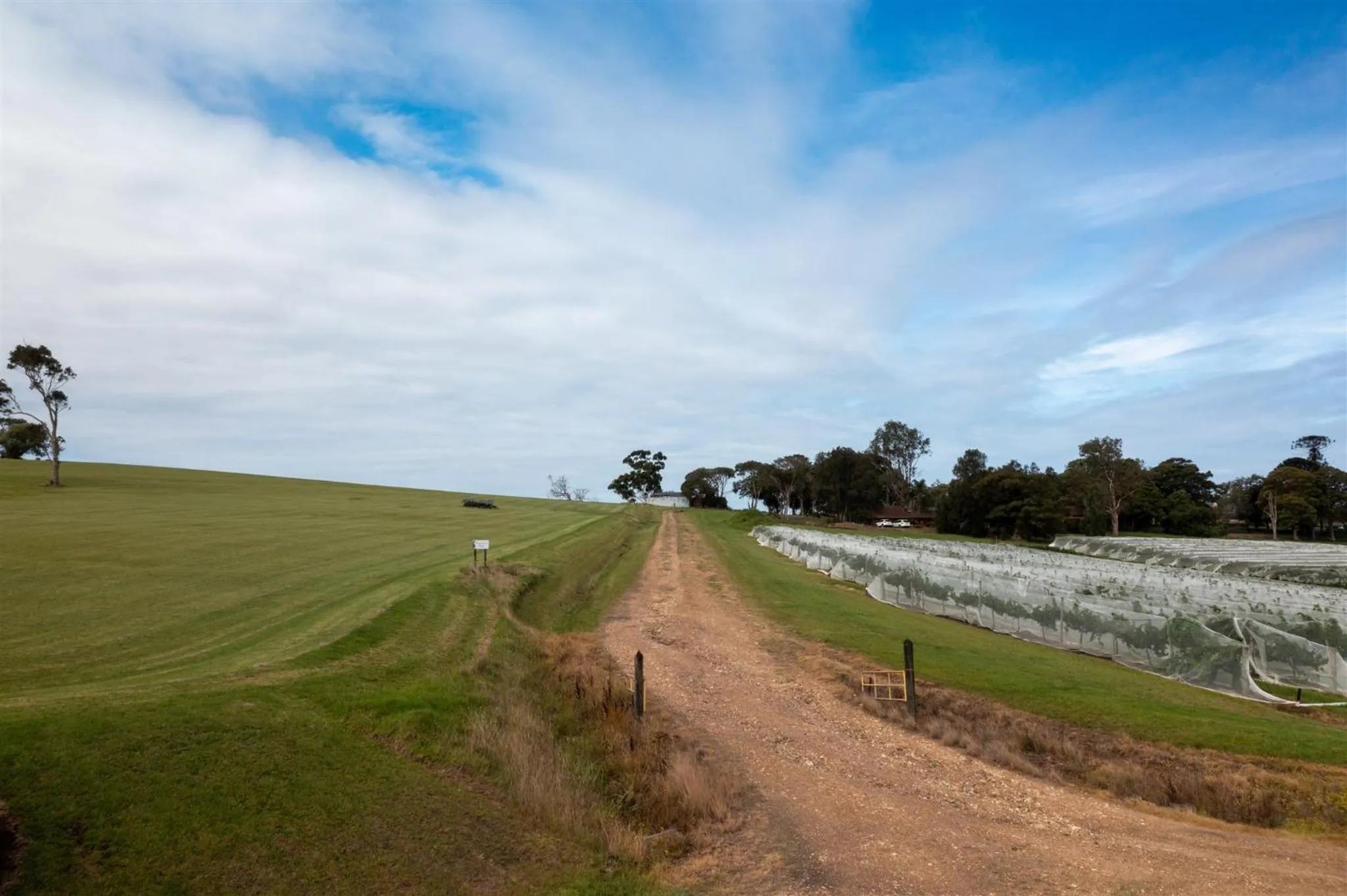 View (from property/room) in Coolangatta Estate Shoalhaven Heads