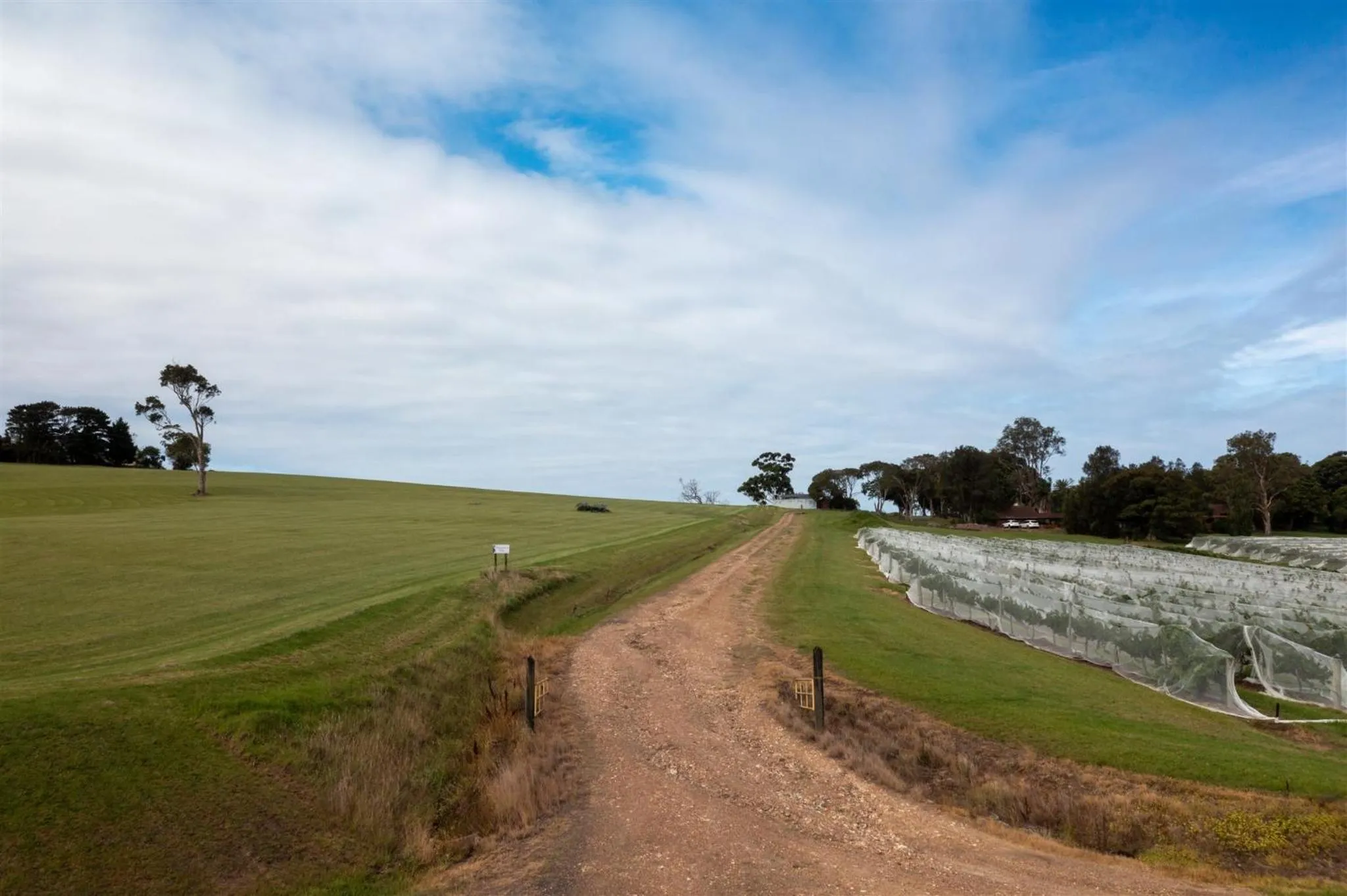 View (from property/room) in Coolangatta Estate Shoalhaven Heads