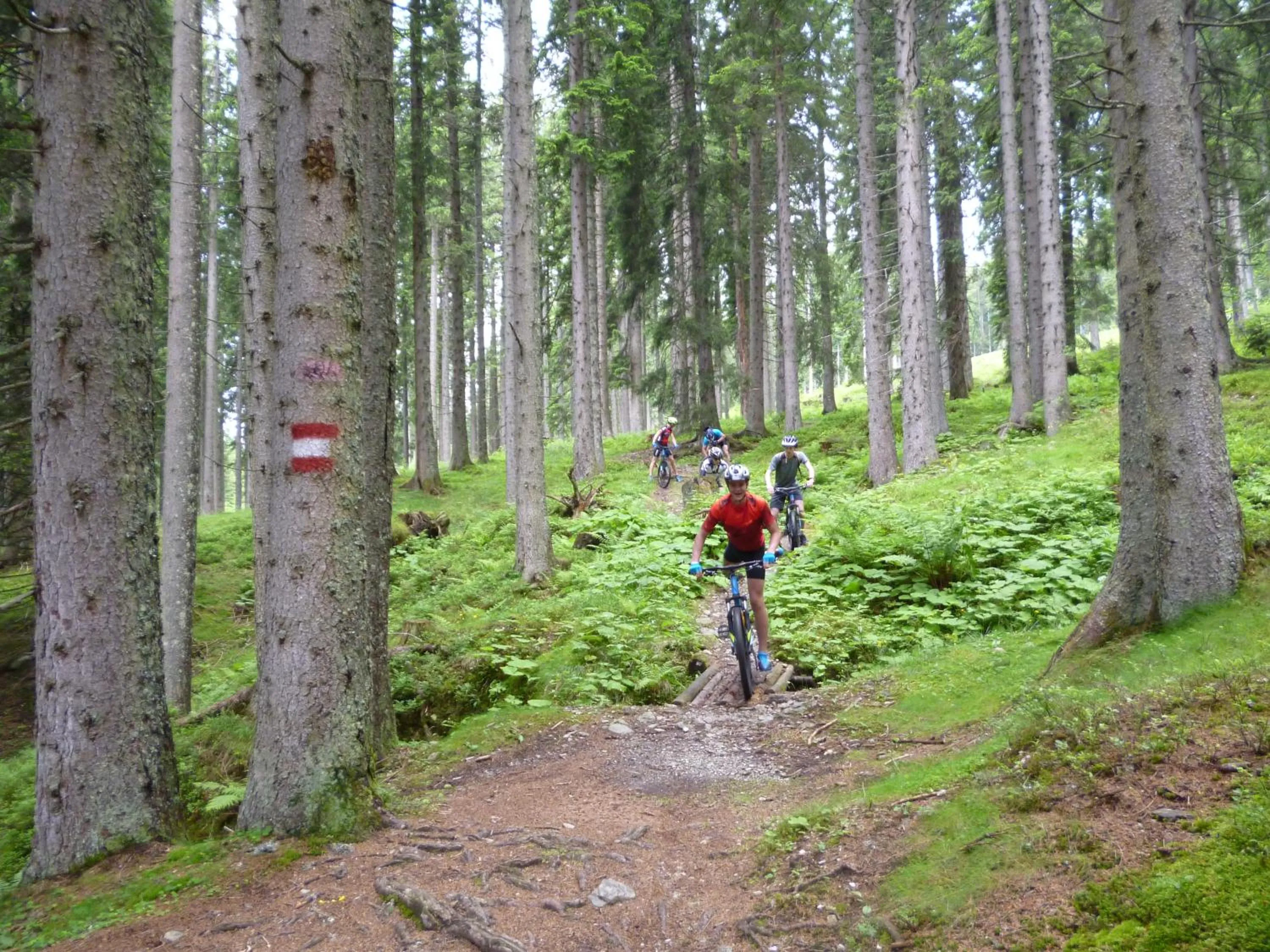Cycling in Harmls Aparthotel