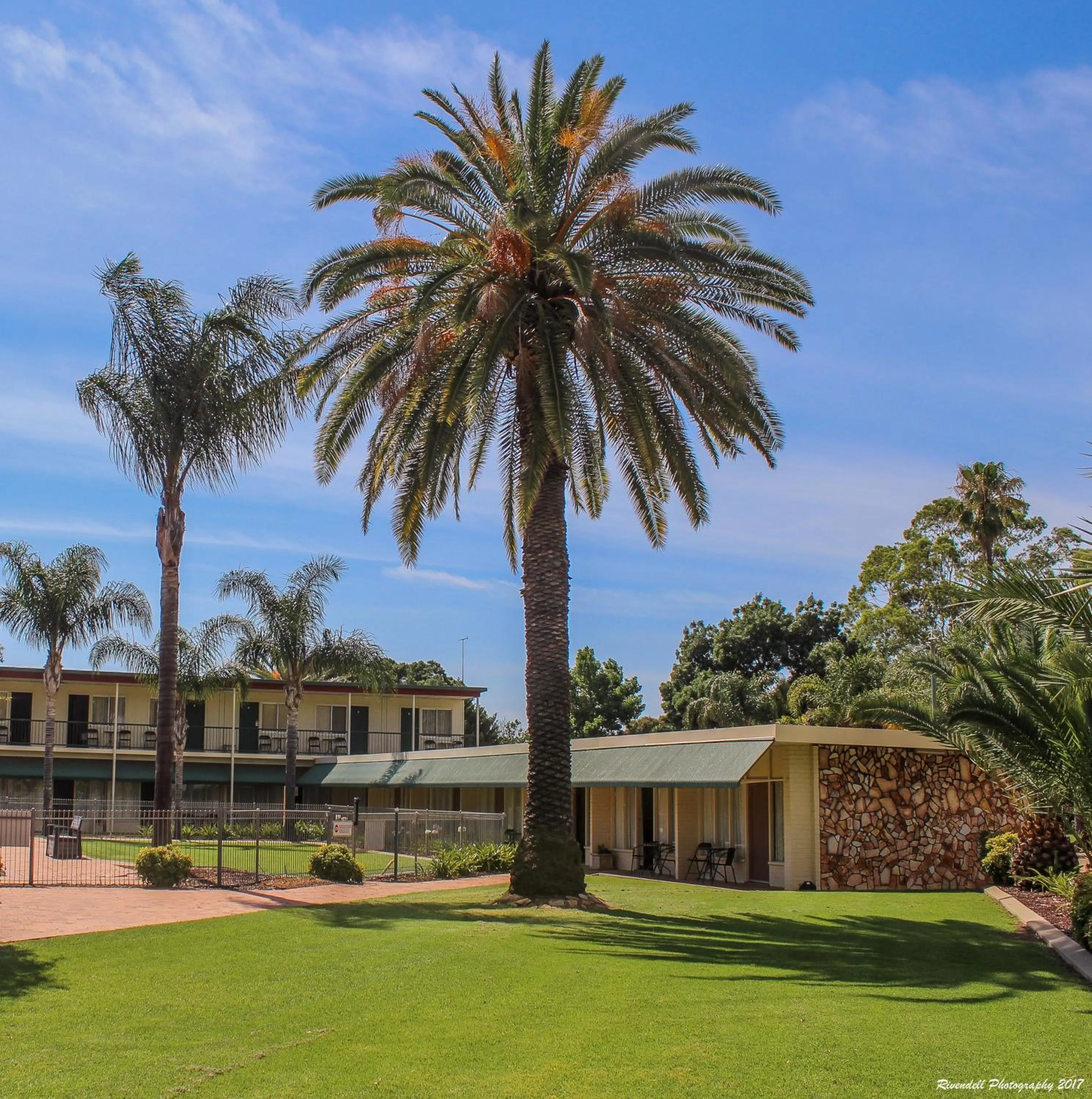 Garden in Motel Riverina