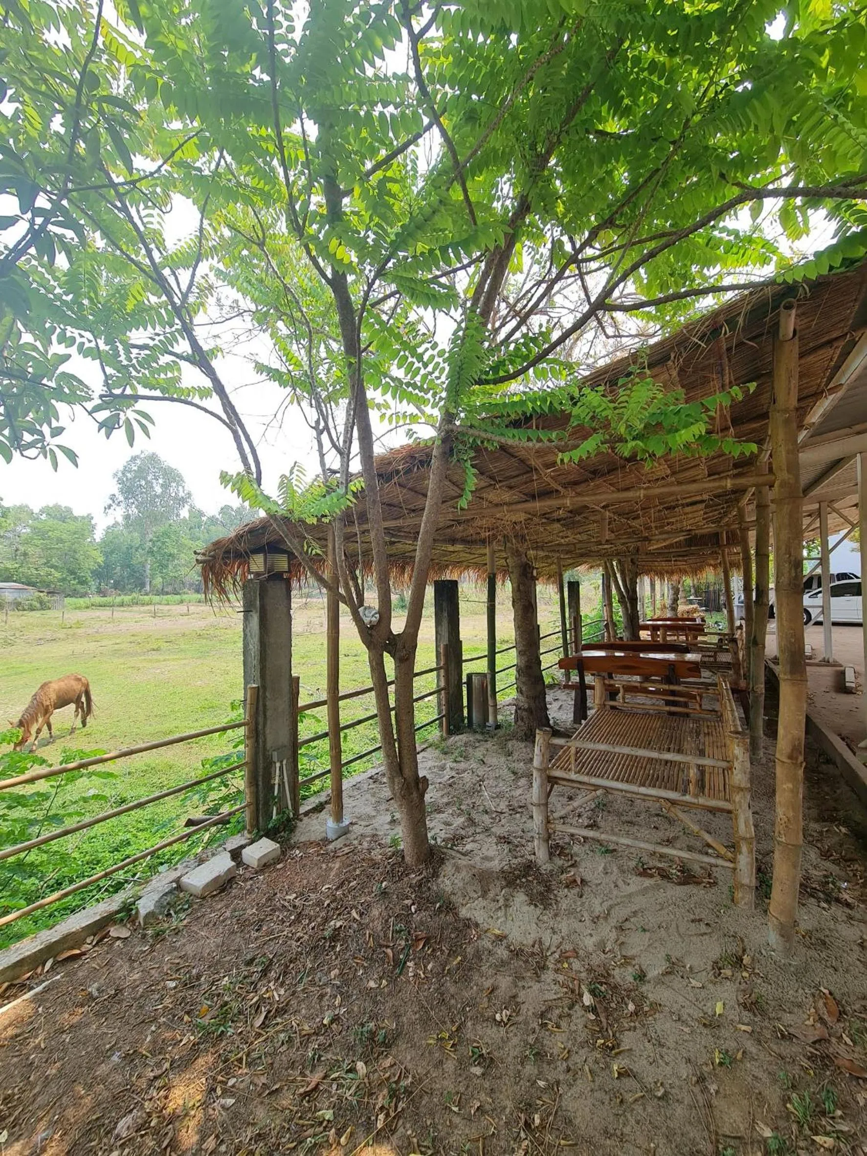 Natural landscape in Bualinn Resort