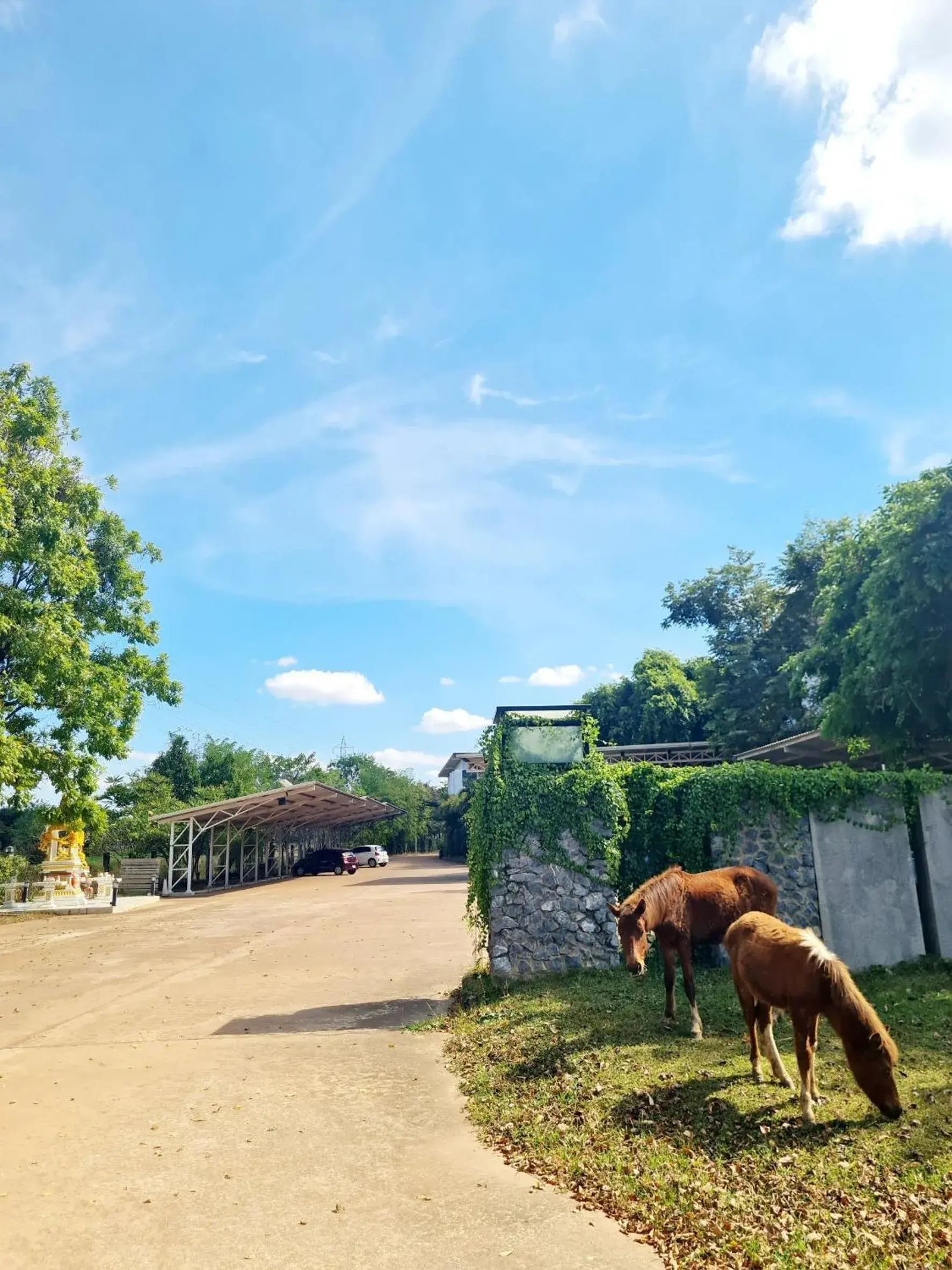 Facade/entrance in Bualinn Resort Facade/entrance in Bualinn Resort